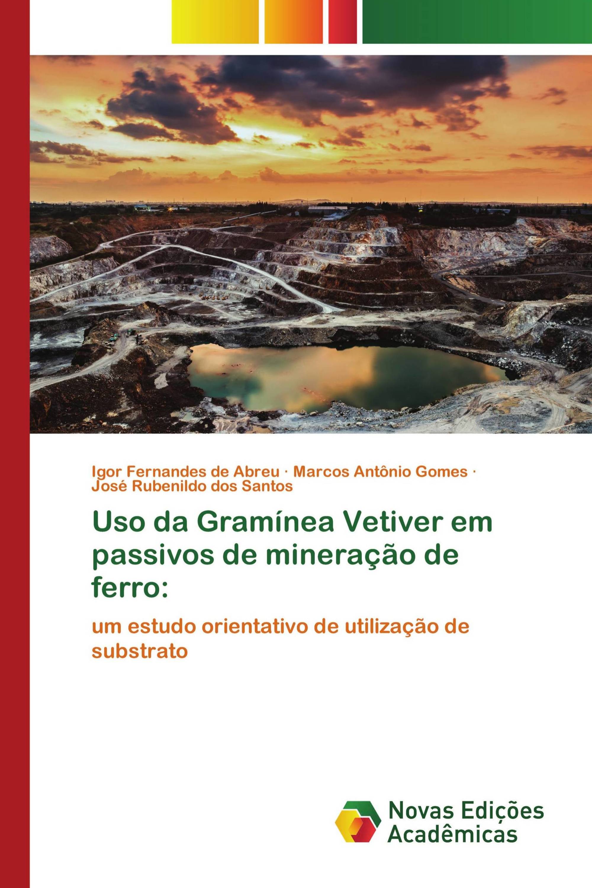 Uso da Gramínea Vetiver em passivos de mineração de ferro: