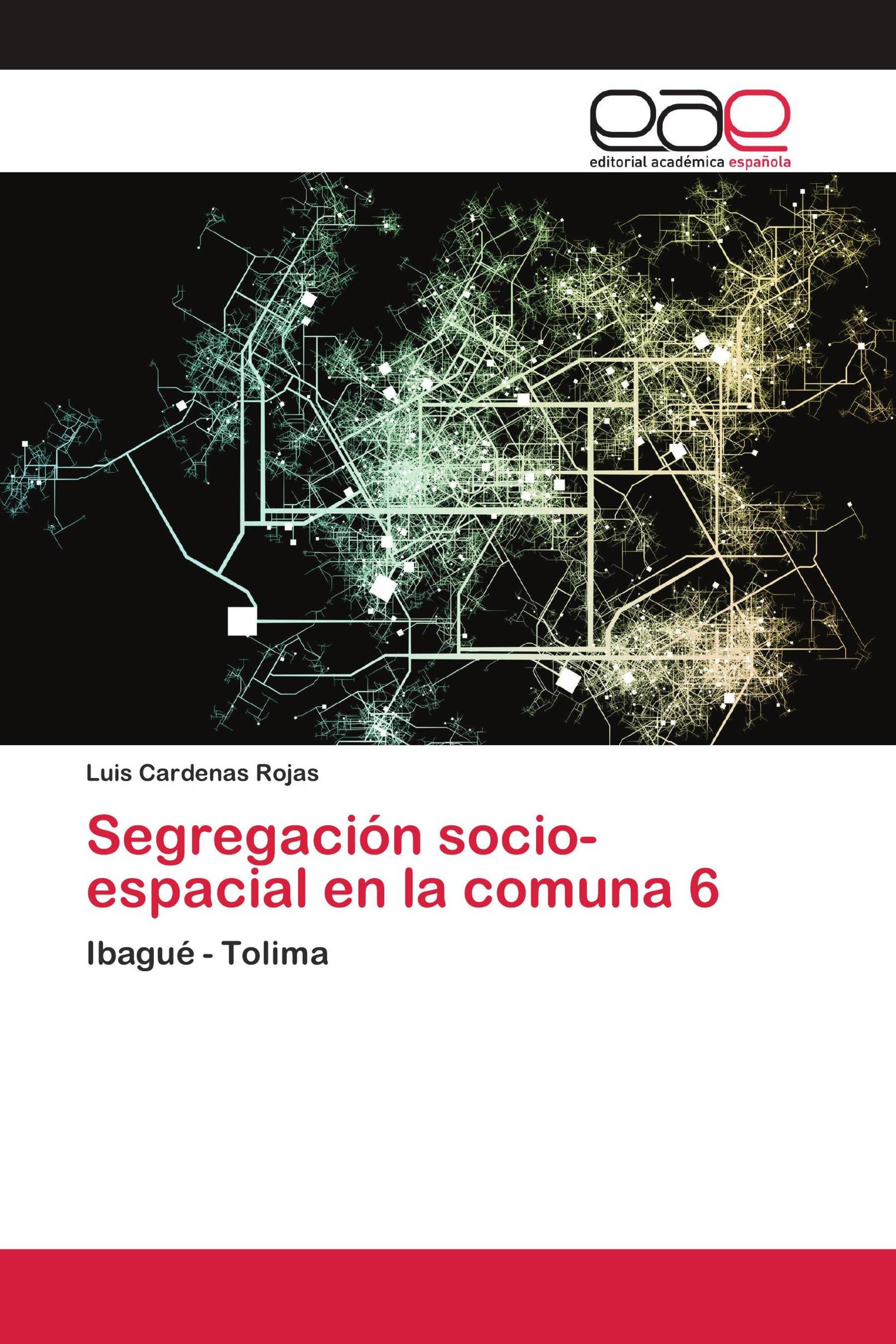 Segregación socio-espacial en la comuna 6