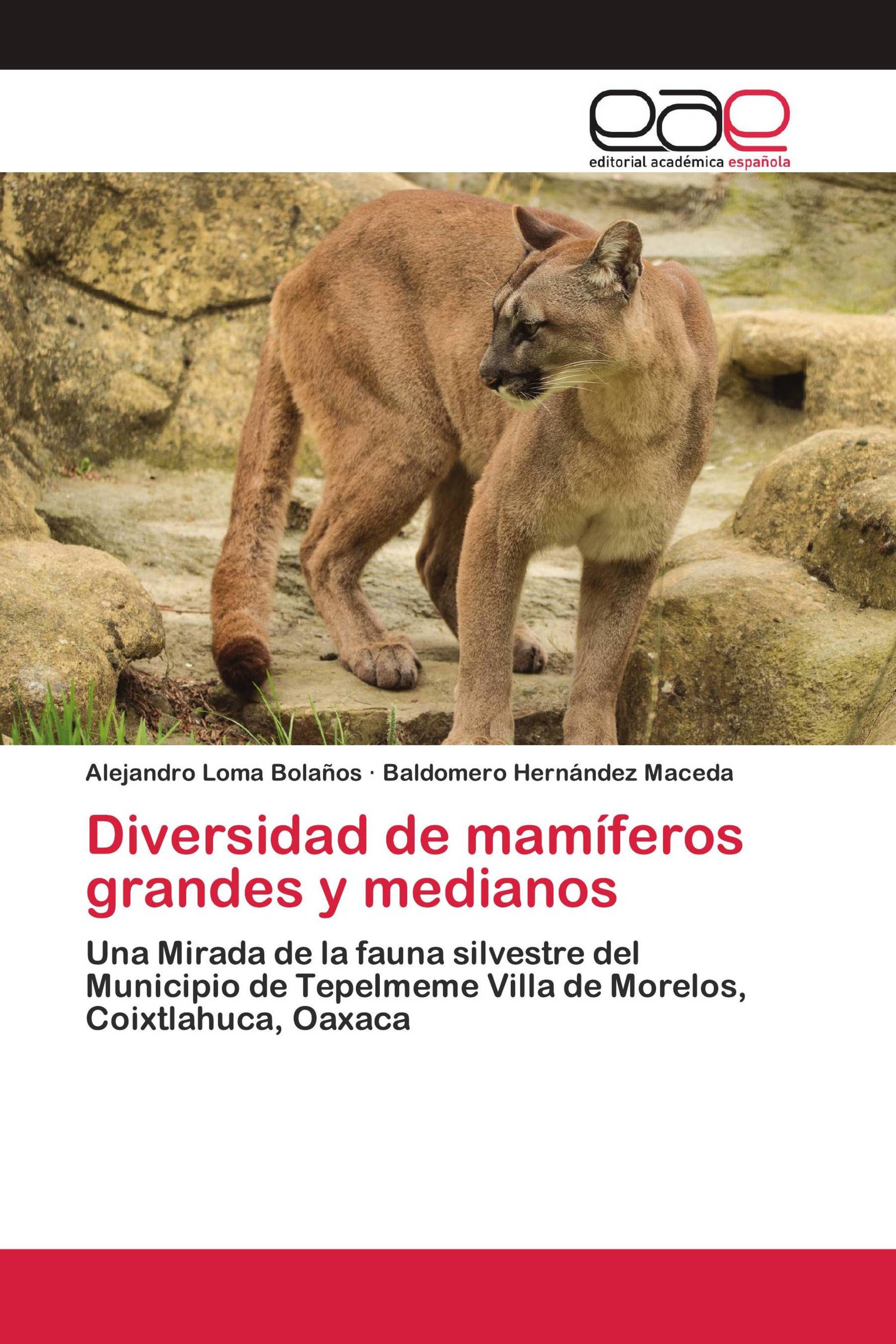 Diversidad de mamíferos grandes y medianos