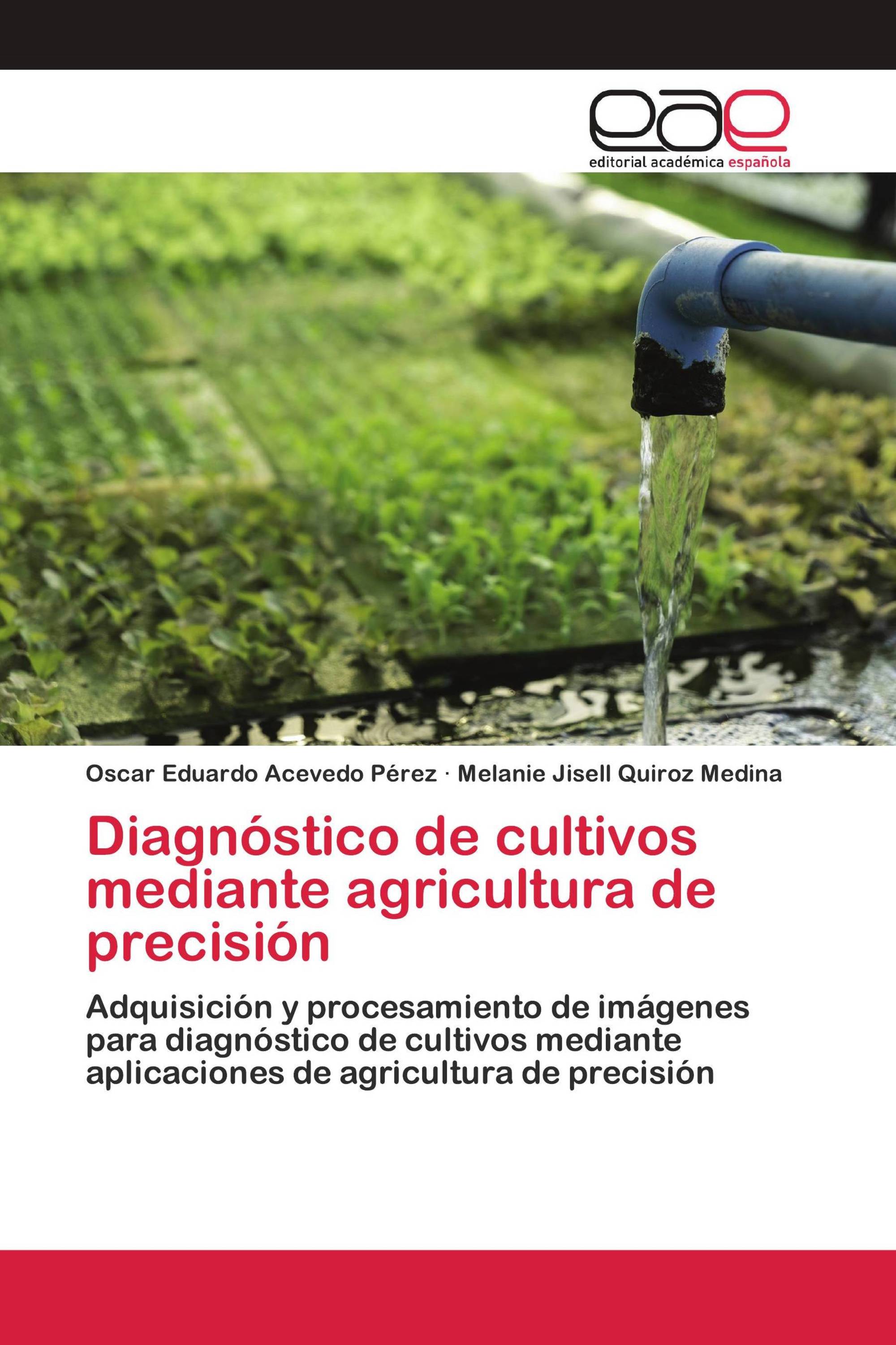 Diagnóstico de cultivos mediante agricultura de precisión