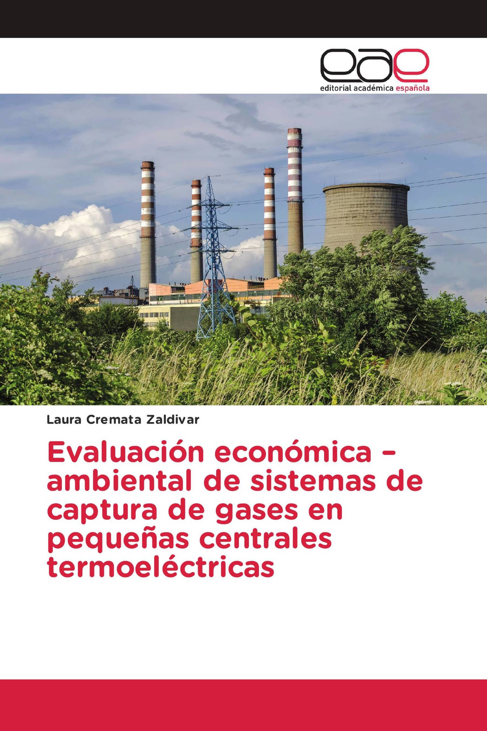 Evaluación económica –ambiental de sistemas de captura de gases en pequeñas centrales termoeléctricas