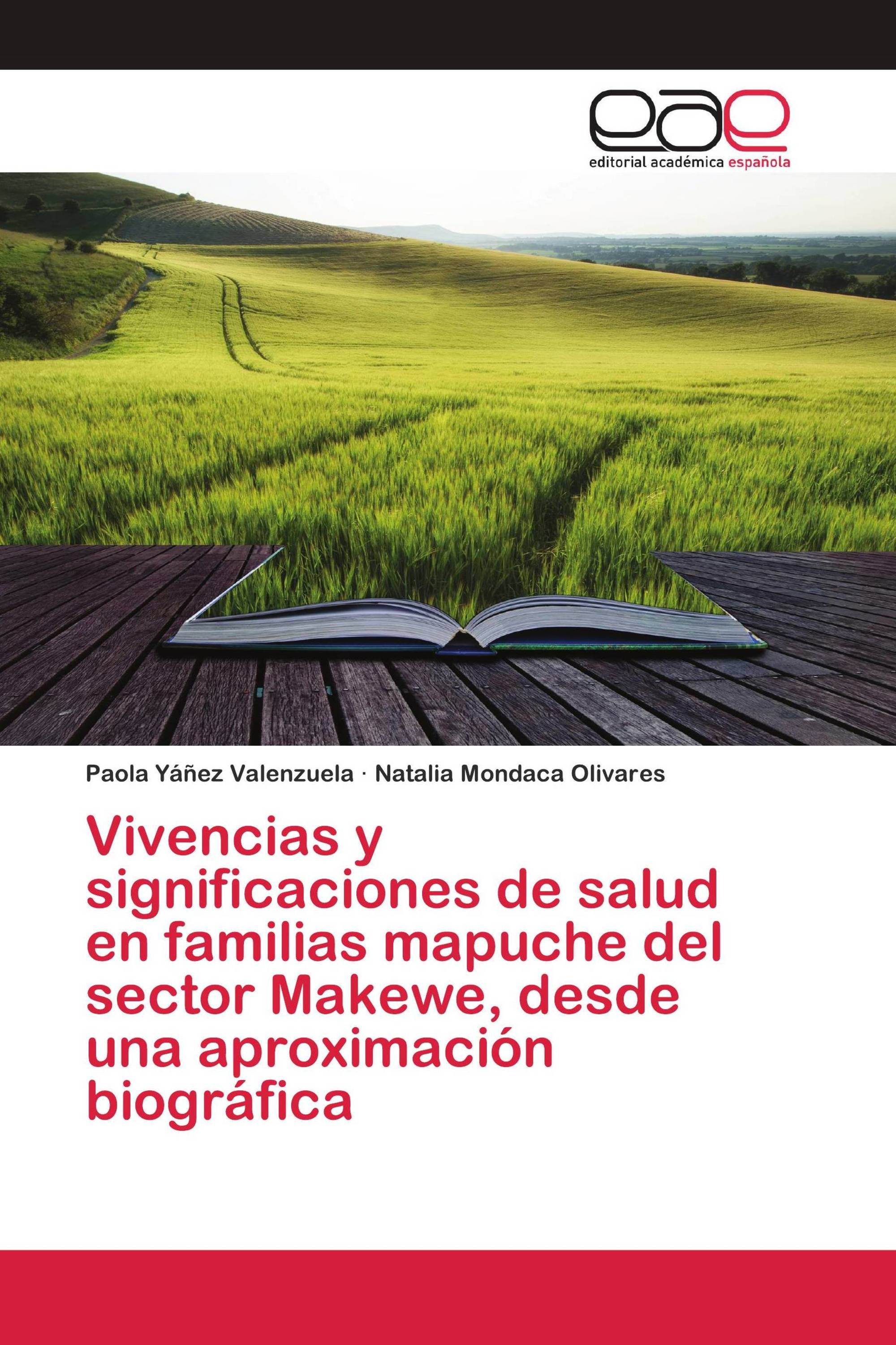 Vivencias y significaciones de salud en familias mapuche del sector Makewe, desde una aproximación biográfica