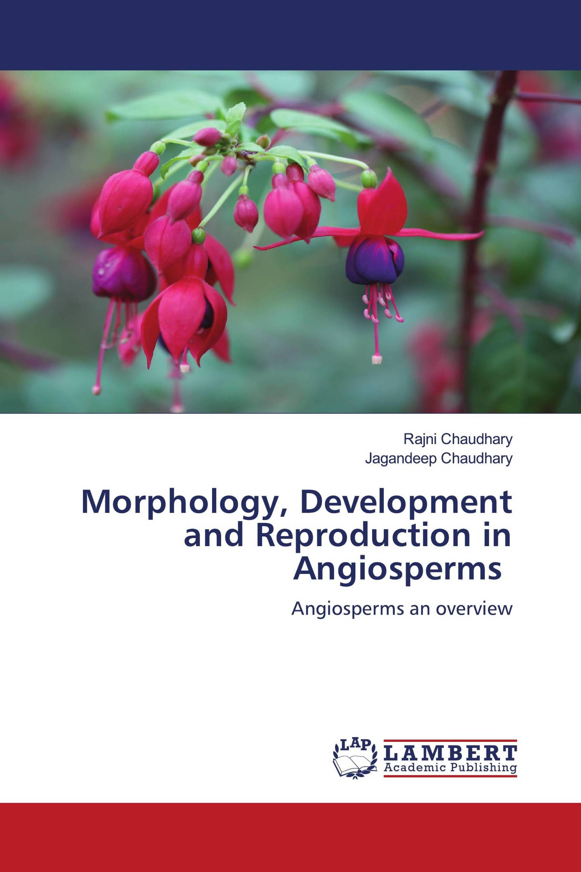 Morphology, Development and Reproduction in Angiosperms / 9786202