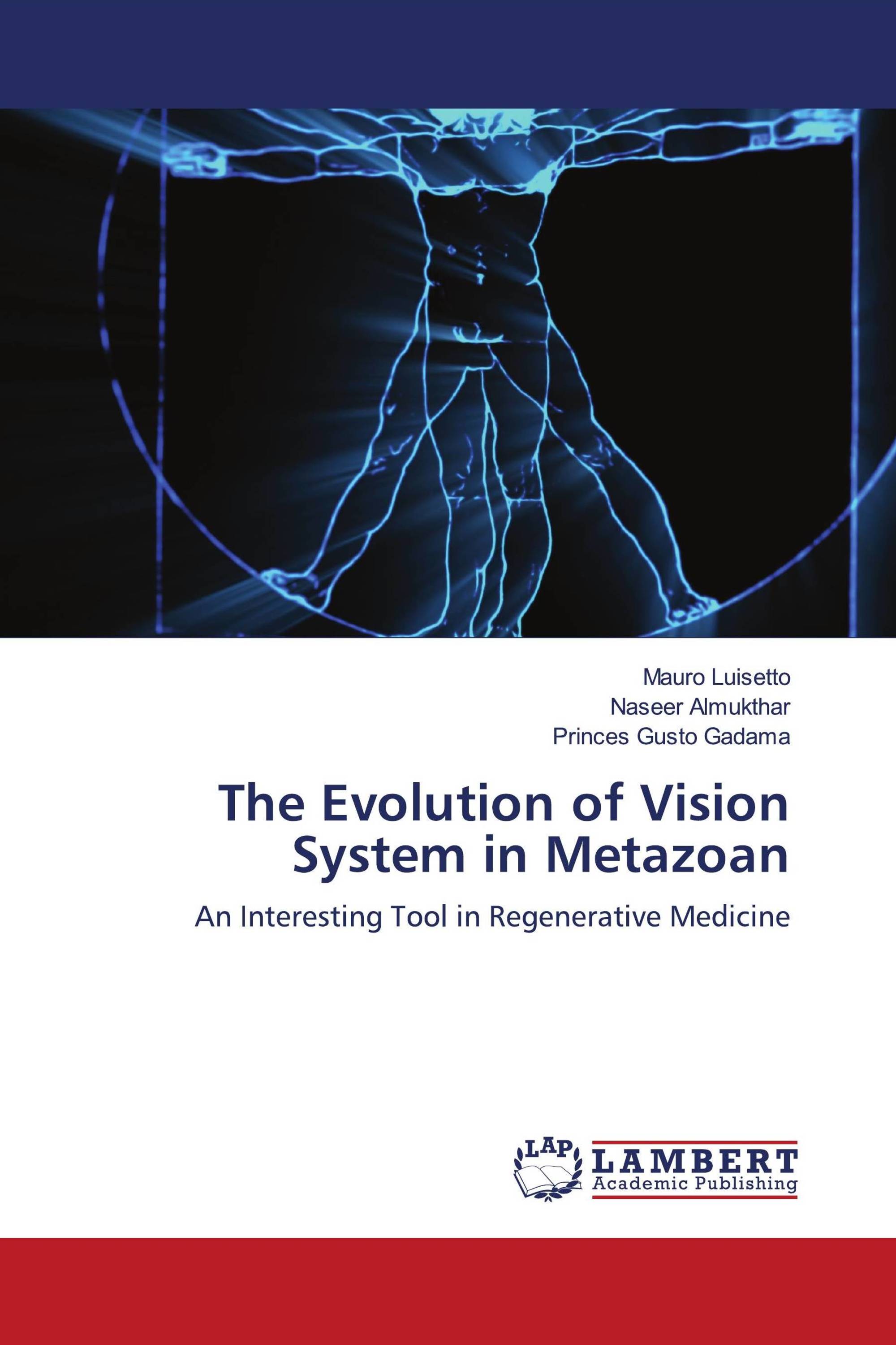 The Evolution of Vision System in Metazoan