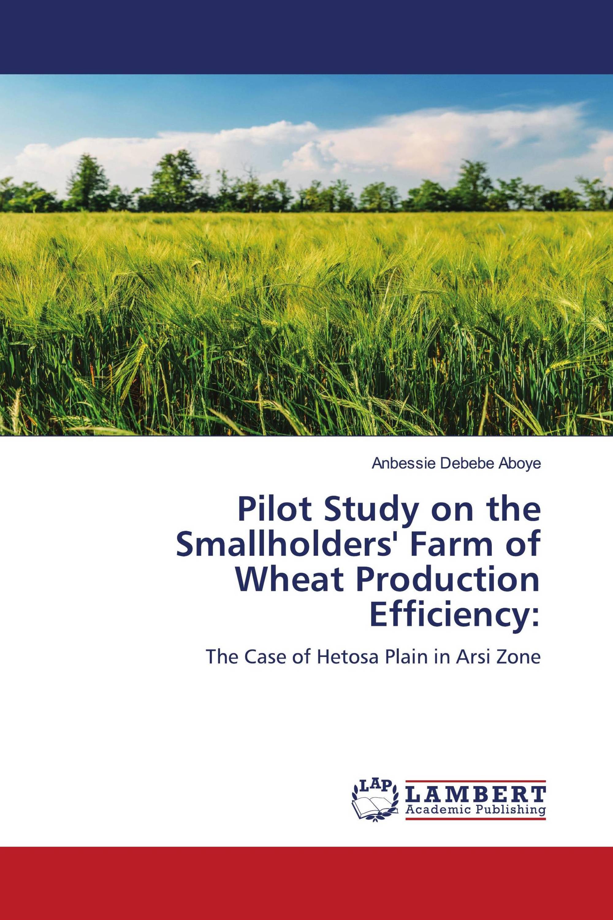 Pilot Study on the Smallholders' Farm of Wheat Production Efficiency: