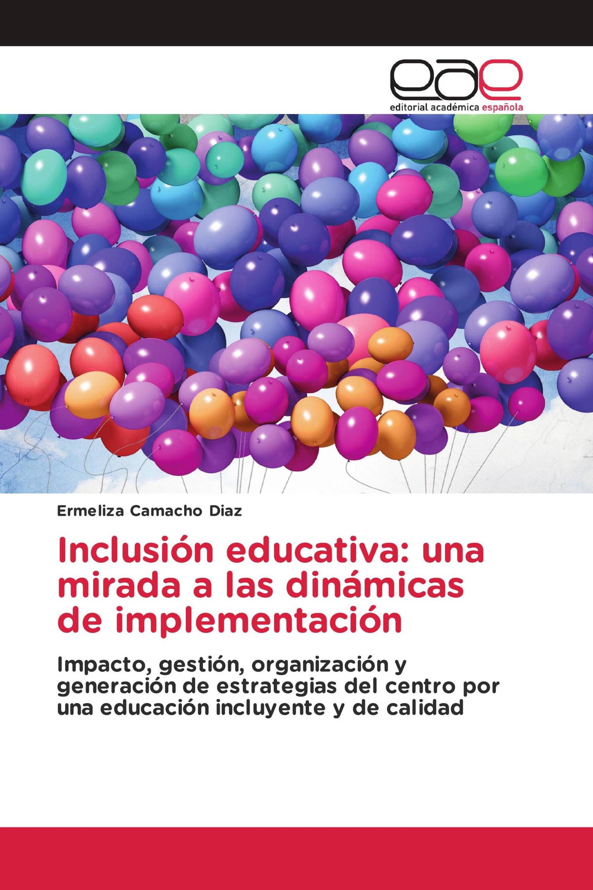 Inclusión educativa: una mirada a las dinámicas de implementación