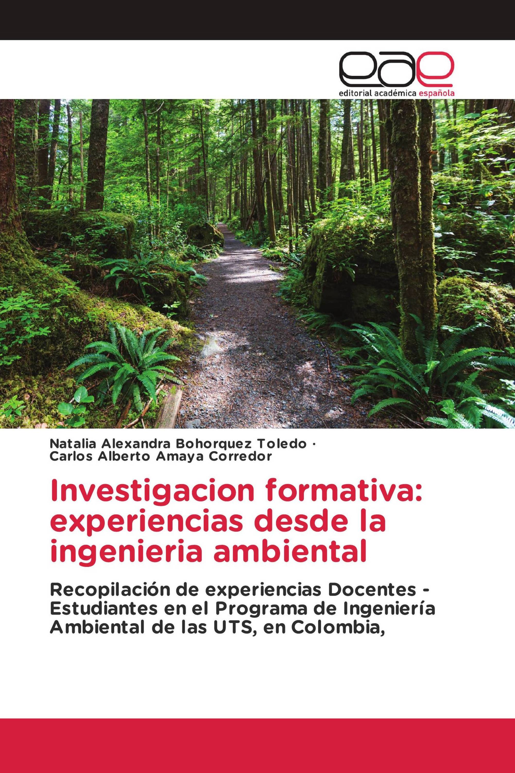 Investigacion formativa: experiencias desde la ingenieria ambiental