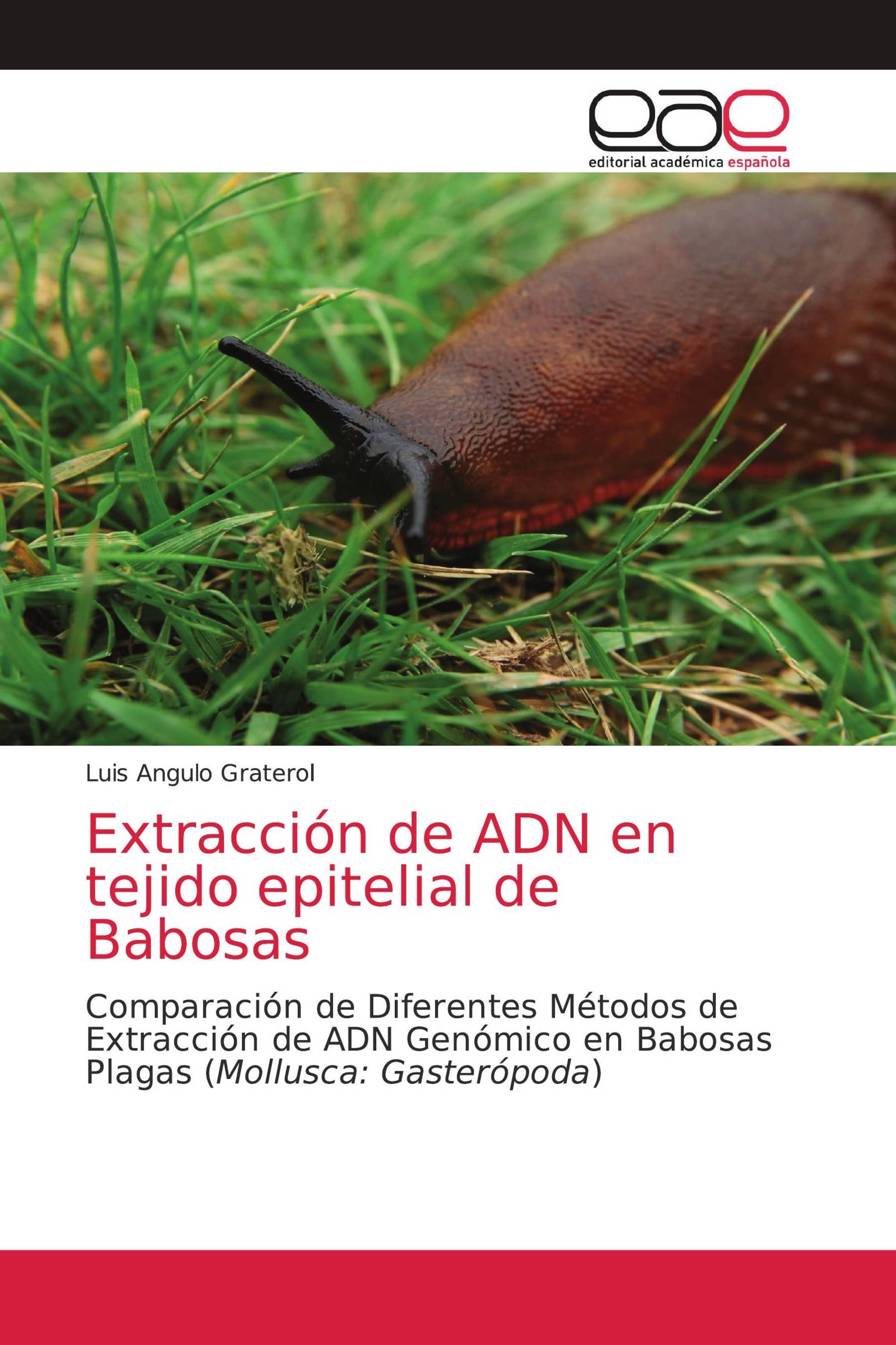 Extracción de ADN en tejido epitelial de Babosas