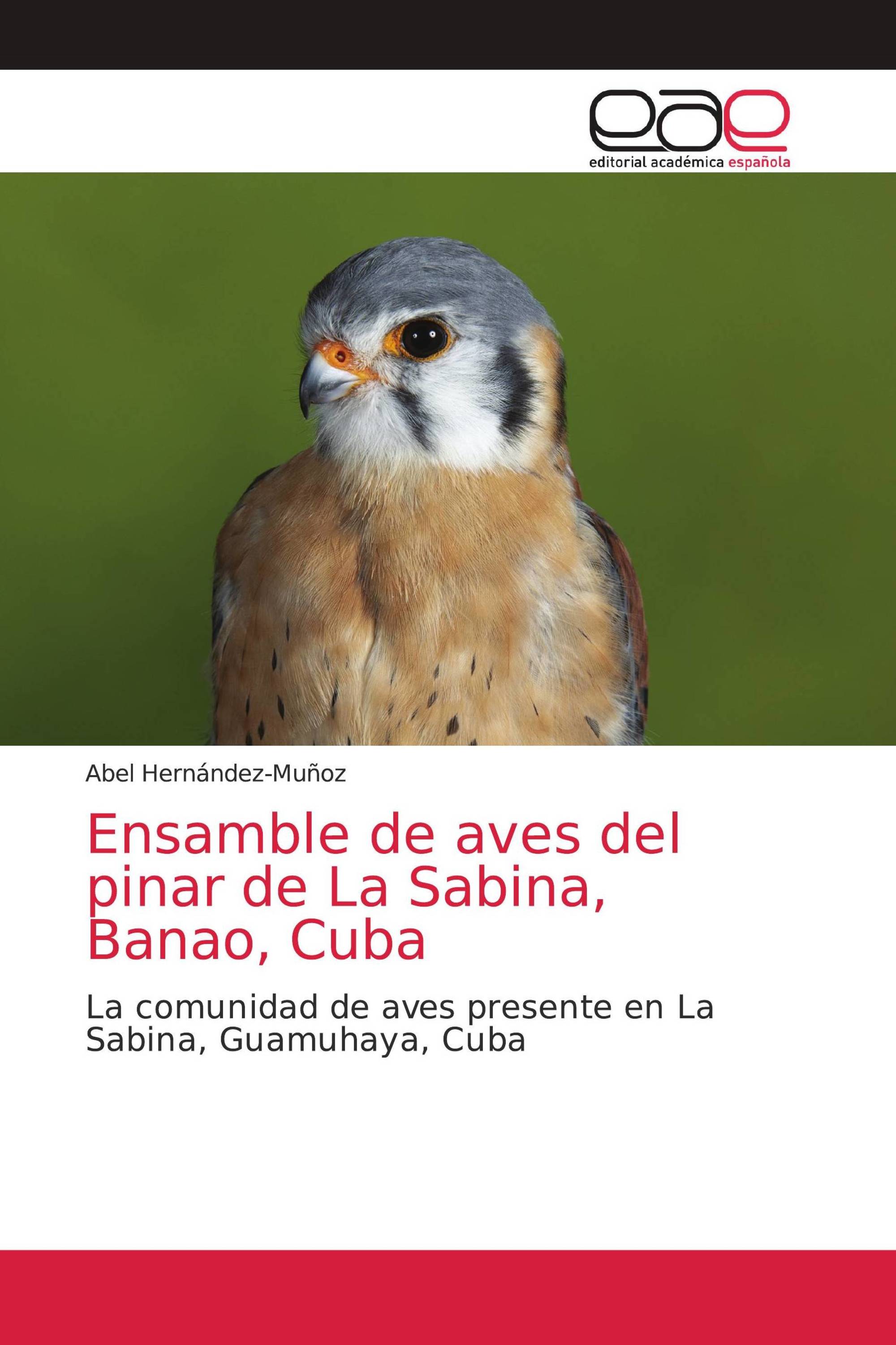 Ensamble de aves del pinar de La Sabina, Banao, Cuba