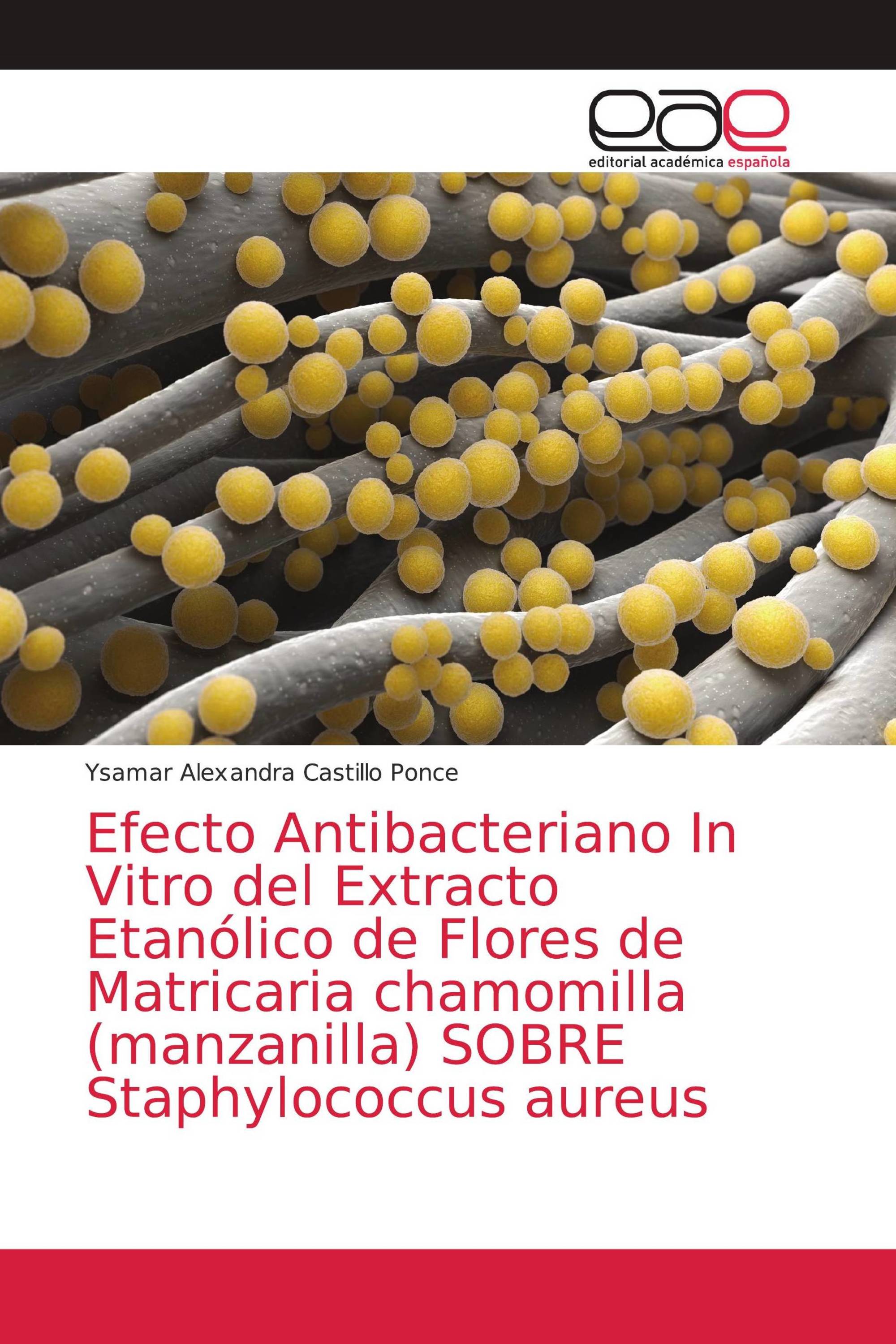 Efecto Antibacteriano In Vitro del Extracto Etanólico de Flores de Matricaria chamomilla (manzanilla) SOBRE Staphylococcus aureus