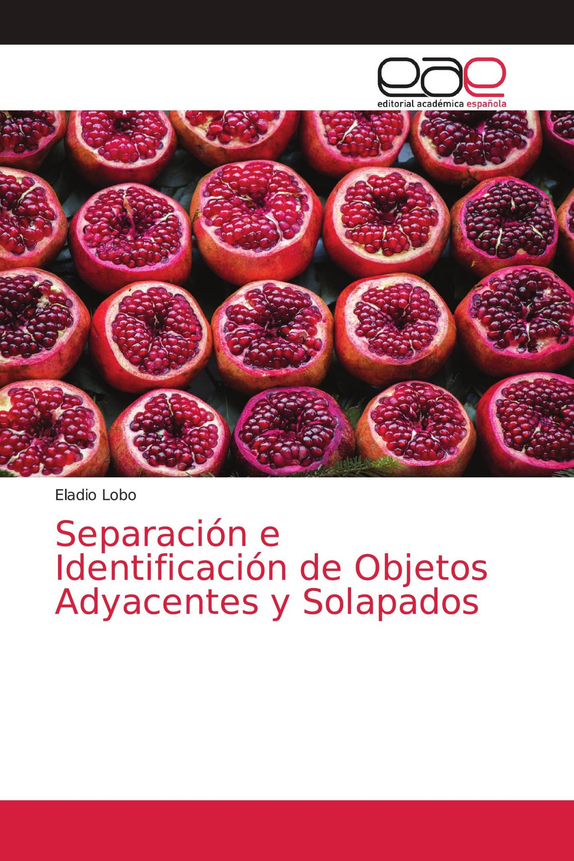 Separación e Identificación de Objetos Adyacentes y Solapados