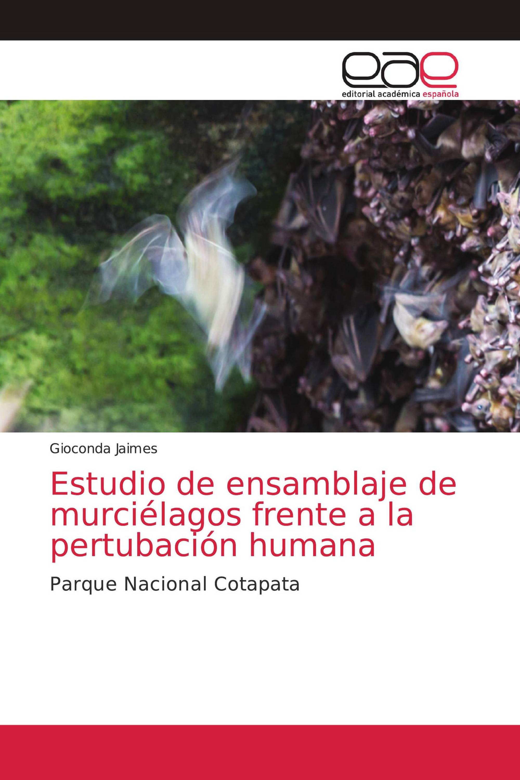 Estudio de ensamblaje de murciélagos frente a la pertubación humana