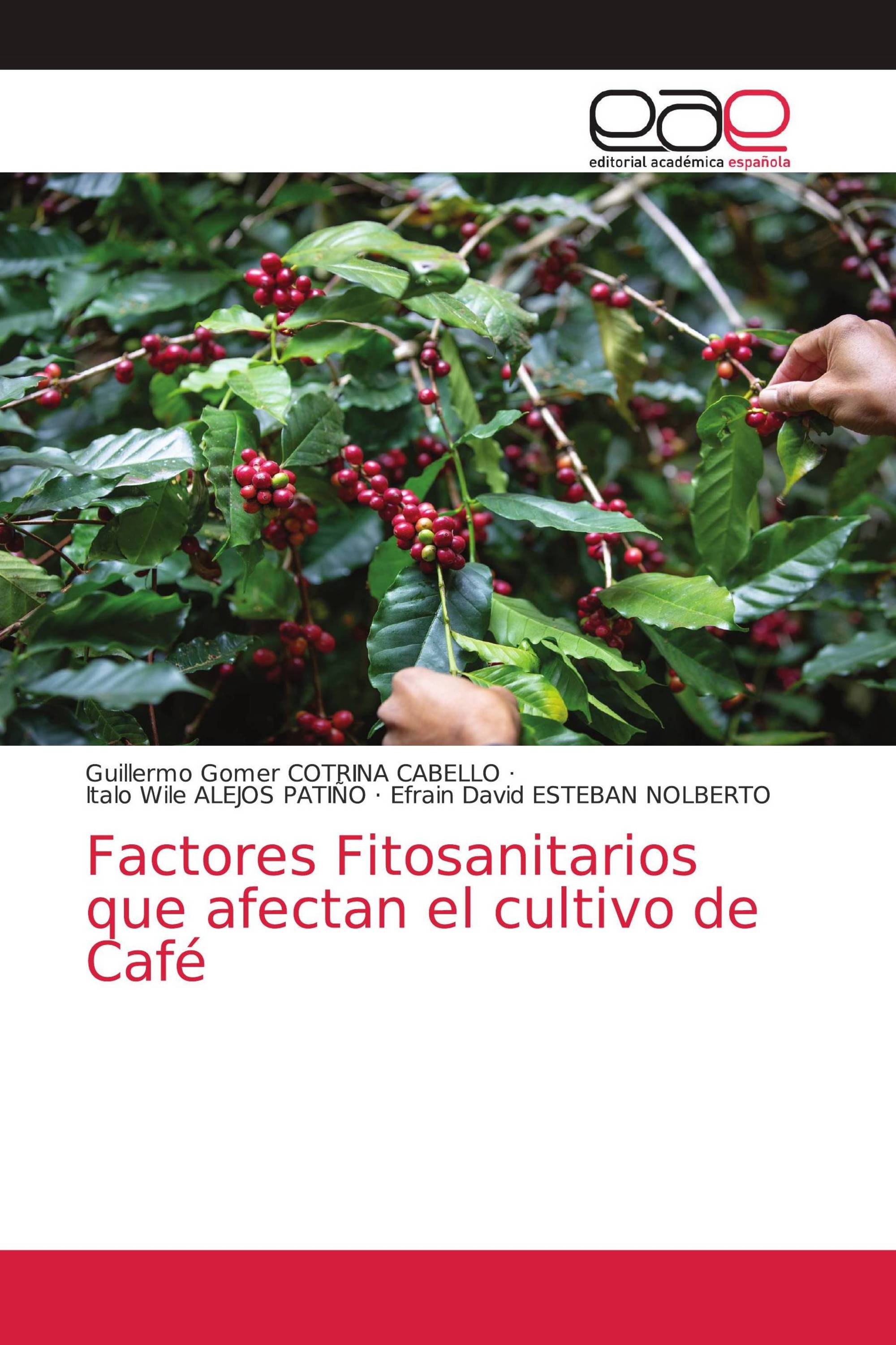 Factores Fitosanitarios que afectan el cultivo de Café