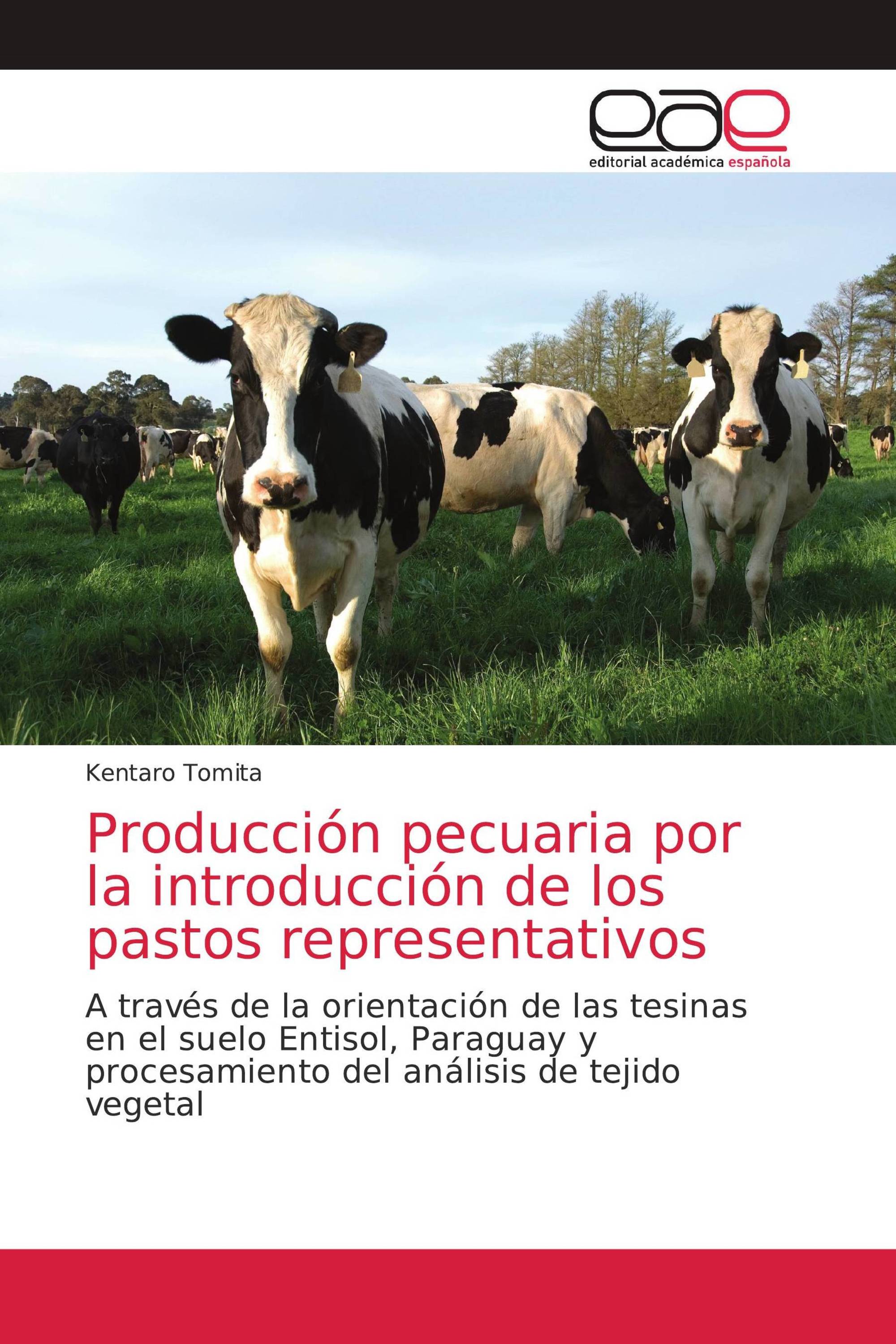 Producción pecuaria por la introducción de los pastos representativos