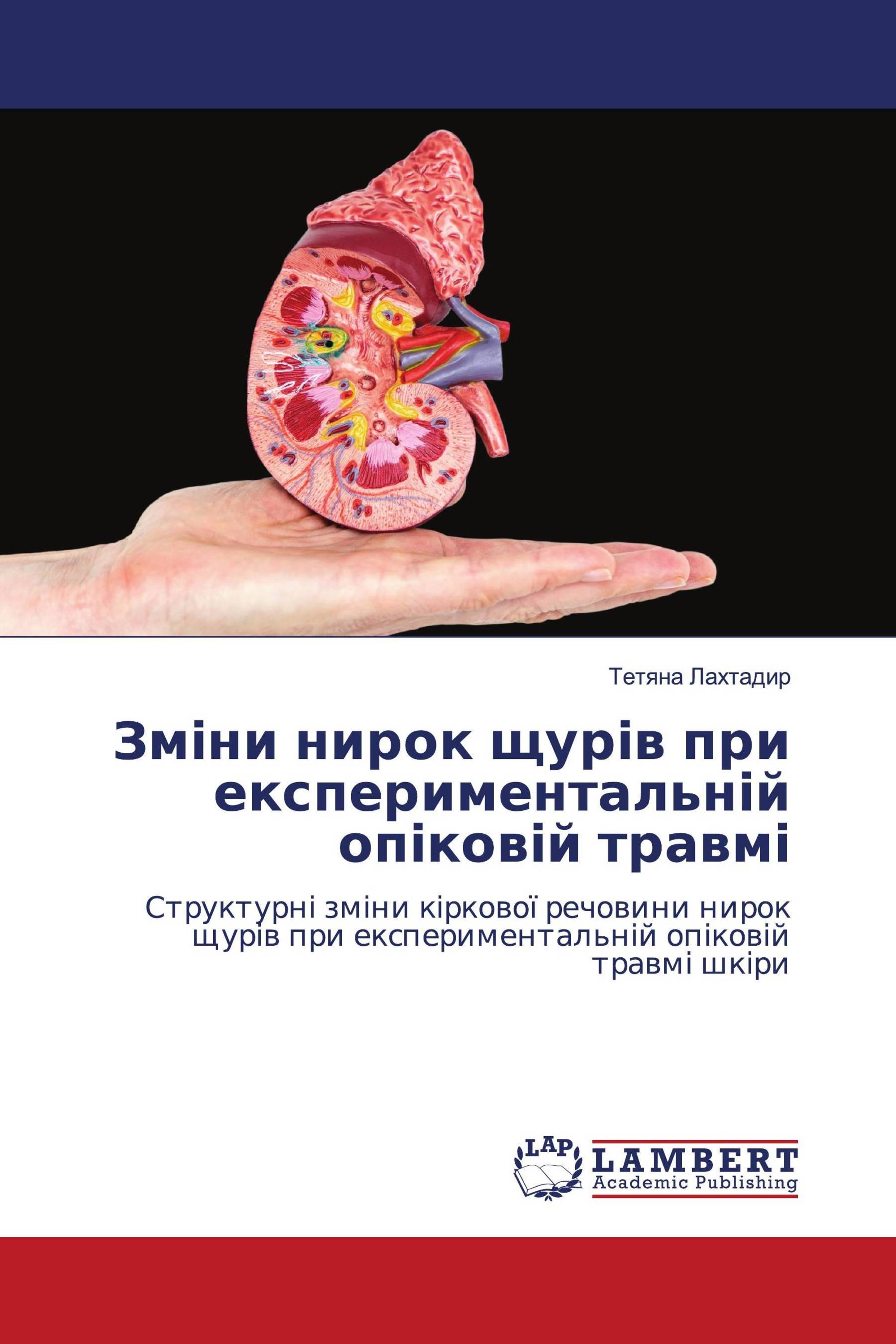 Зміни нирок щурів при експериментальній опіковій травмі