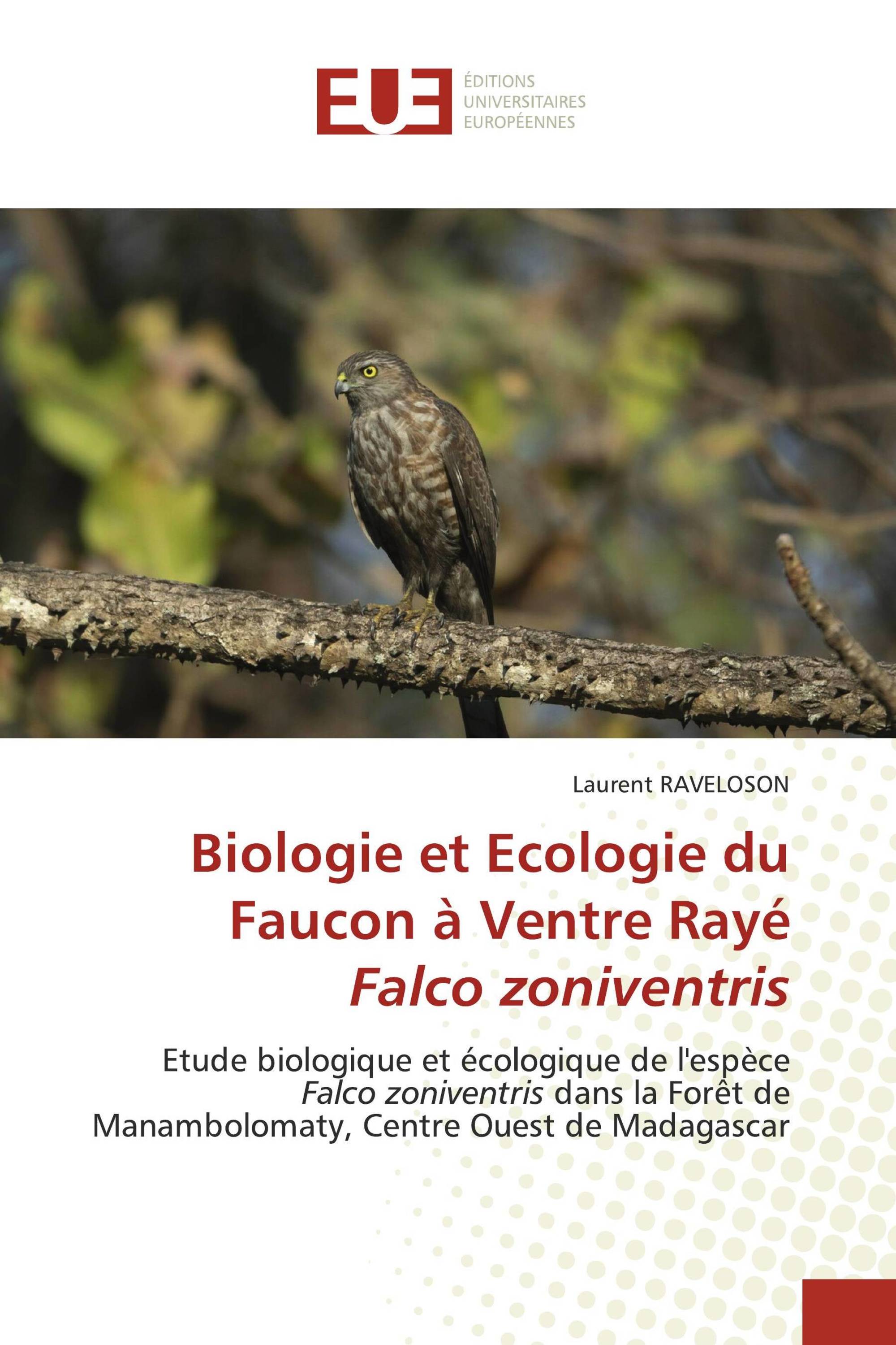 Biologie et Ecologie du Faucon à Ventre Rayé Falco zoniventris