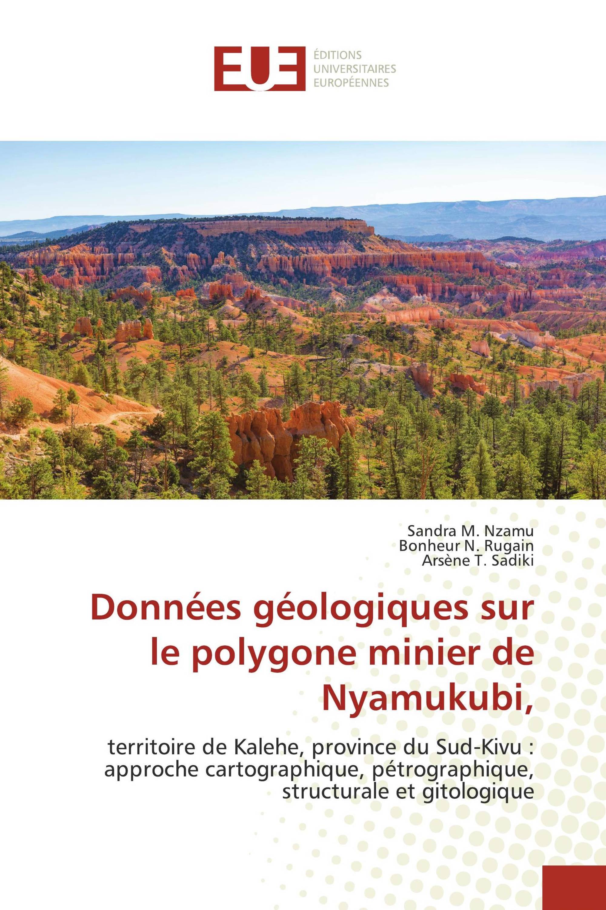 Données géologiques sur le polygone minier de Nyamukubi,