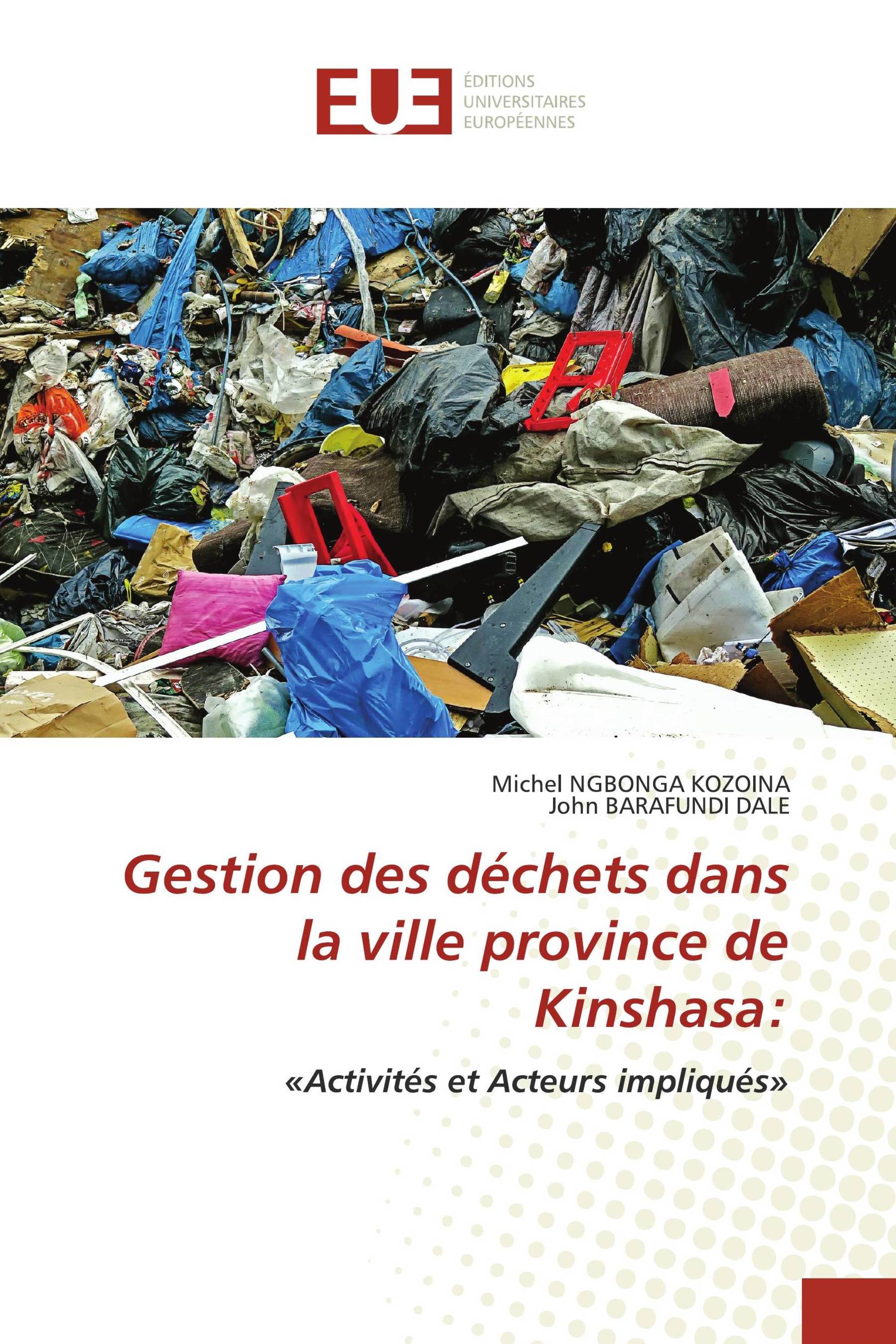 Gestion des déchets dans la ville province de Kinshasa: