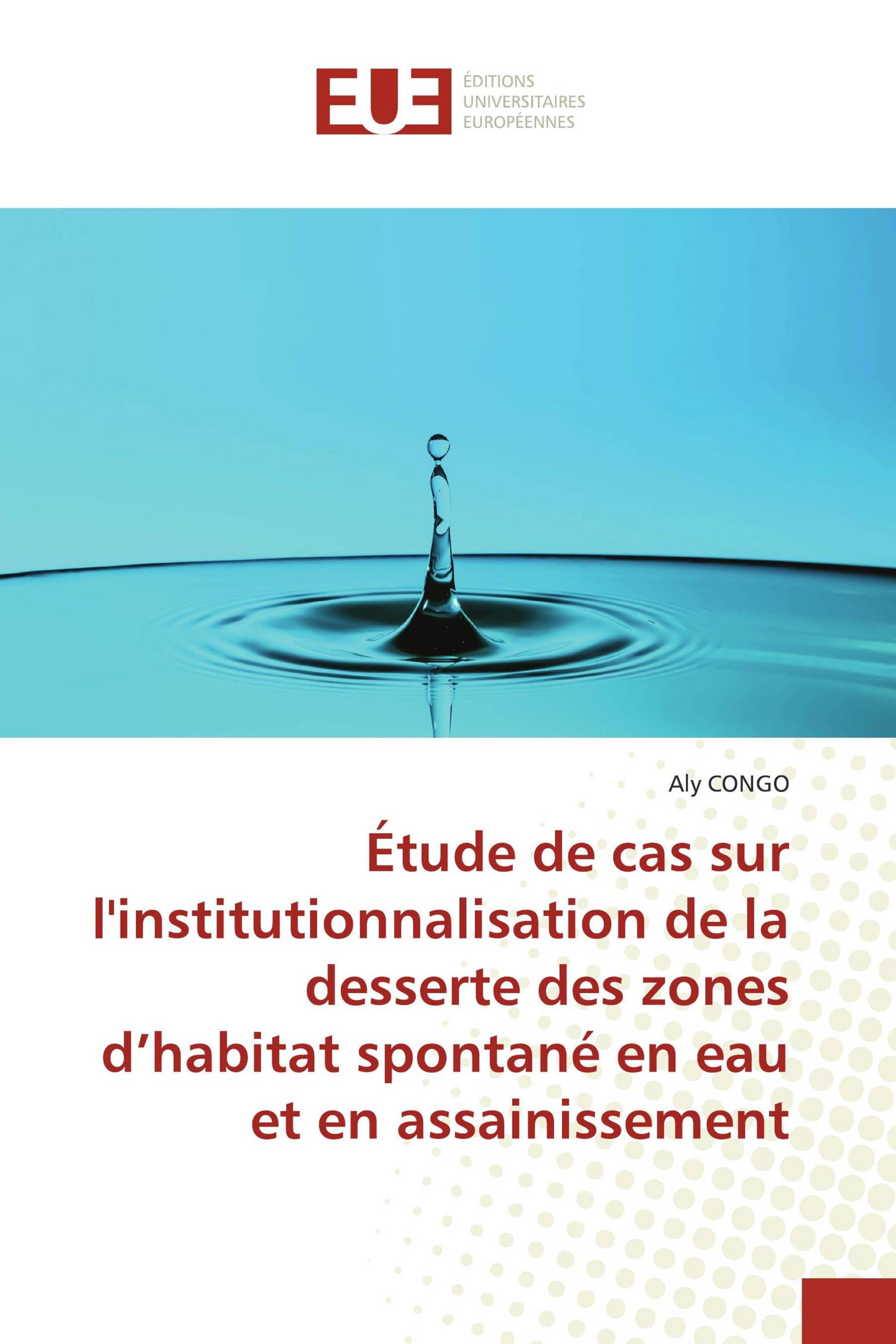 Étude de cas sur l'institutionnalisation de la desserte des zones d’habitat spontané en eau et en assainissement