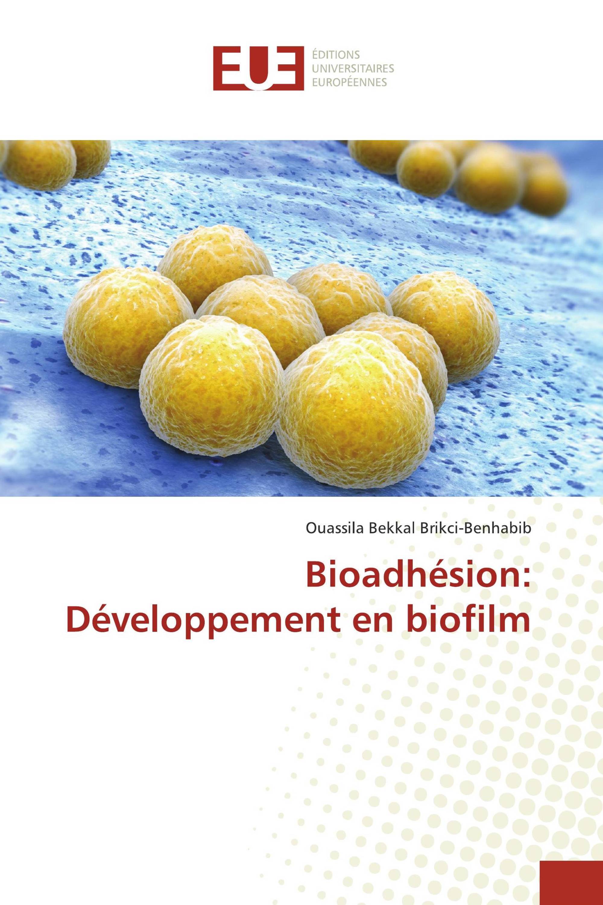 Bioadhésion: Développement en biofilm