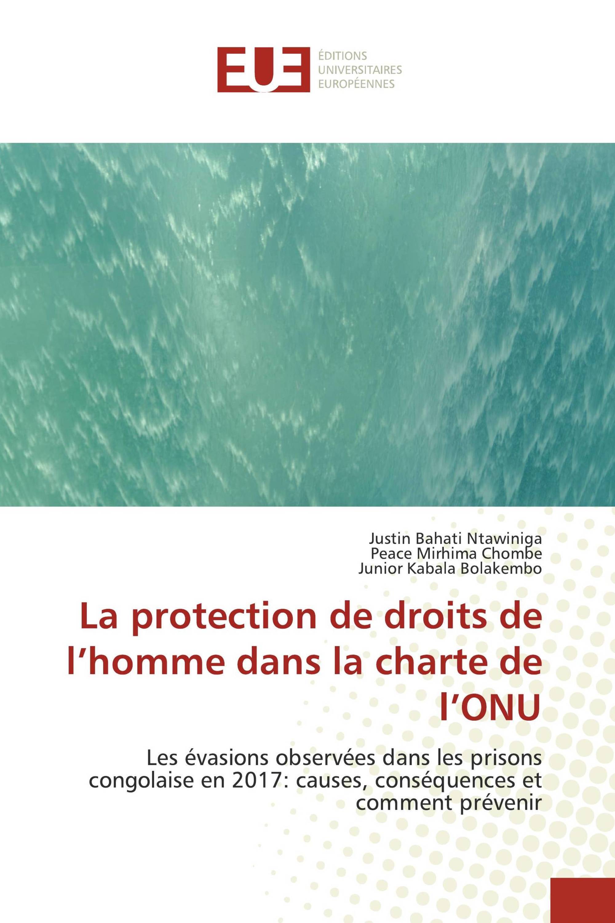 La protection de droits de l’homme dans la charte de l’ONU