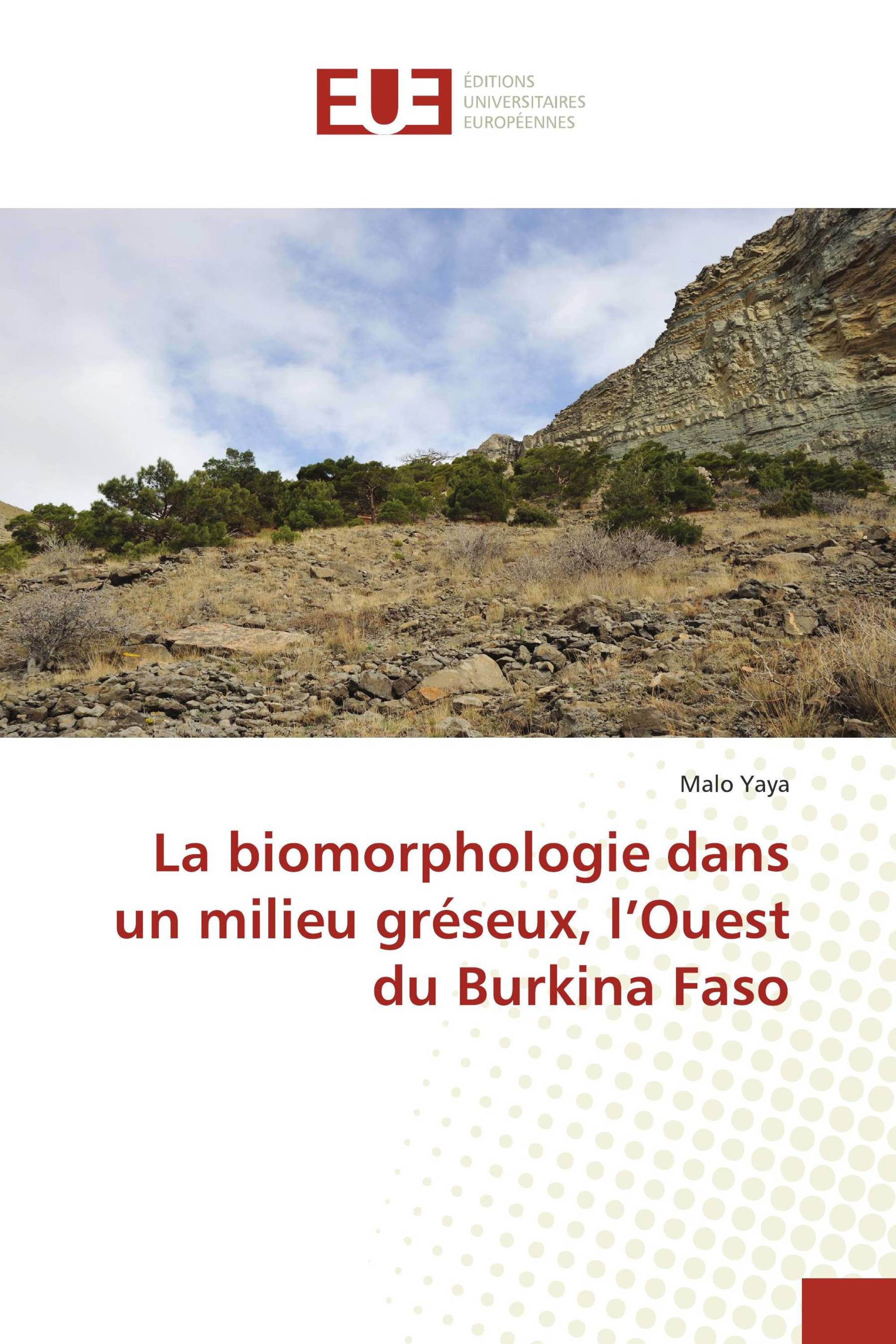 La biomorphologie dans un milieu gréseux, l’Ouest du Burkina Faso