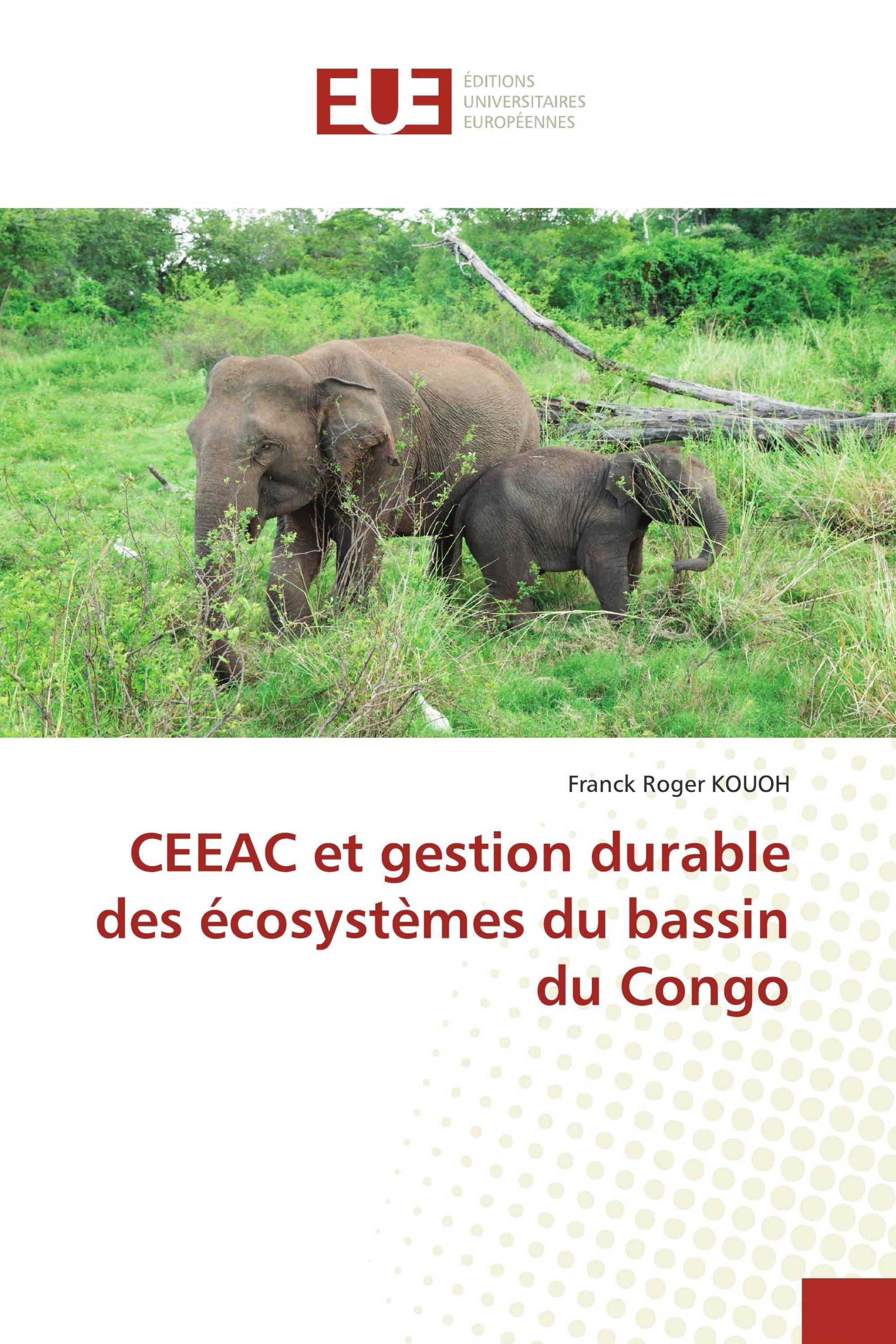 CEEAC et gestion durable des écosystèmes du bassin du Congo