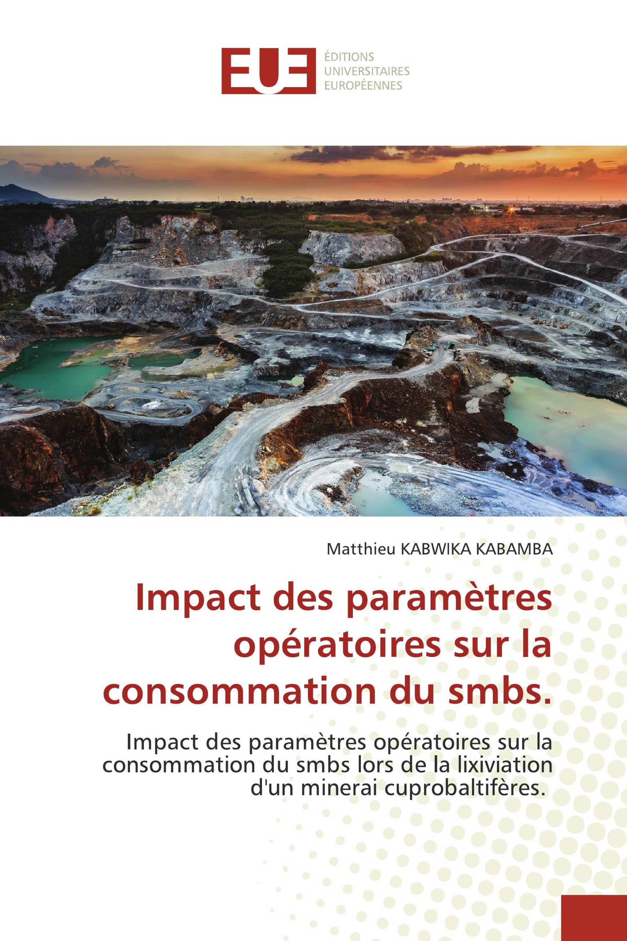 Impact des paramètres opératoires sur la consommation du smbs.