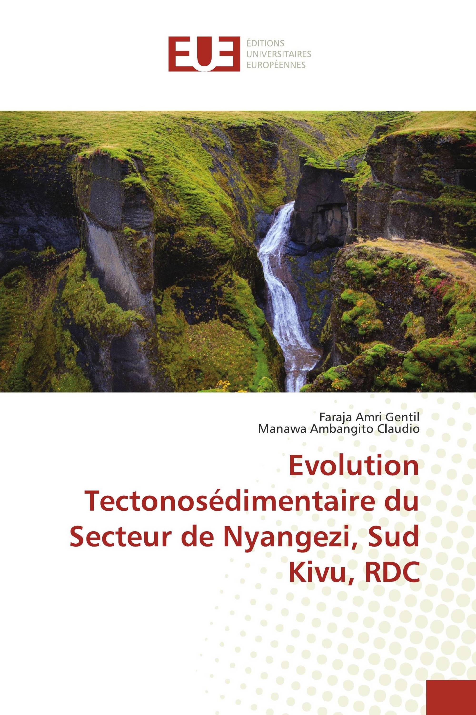 Evolution Tectonosédimentaire du Secteur de Nyangezi, Sud Kivu, RDC