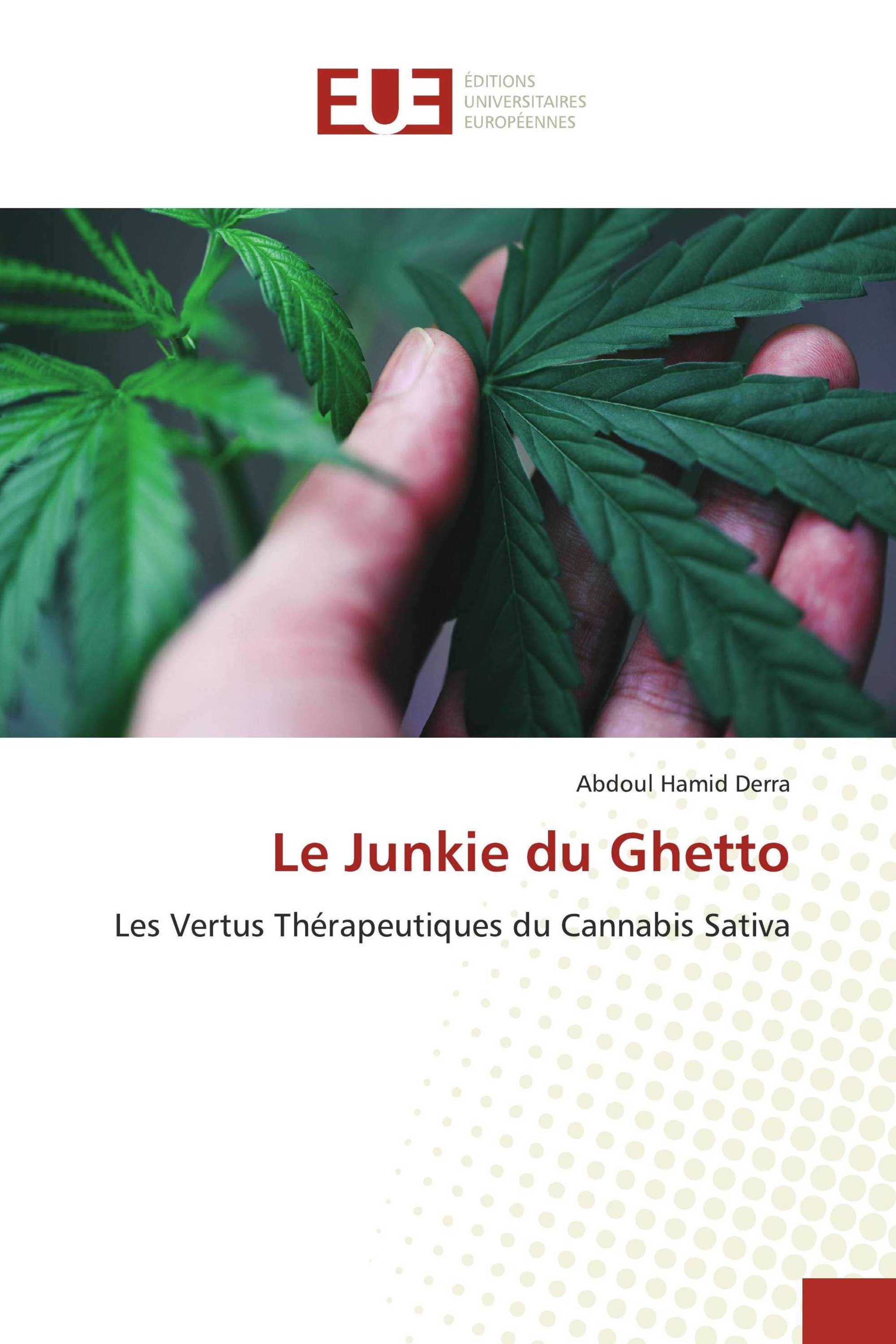 Le Junkie du Ghetto