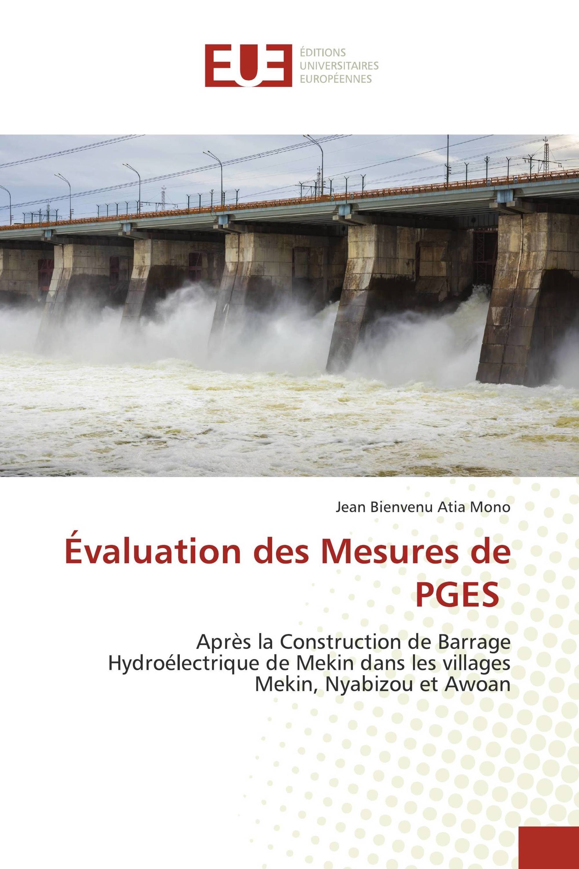 Évaluation des Mesures de PGES