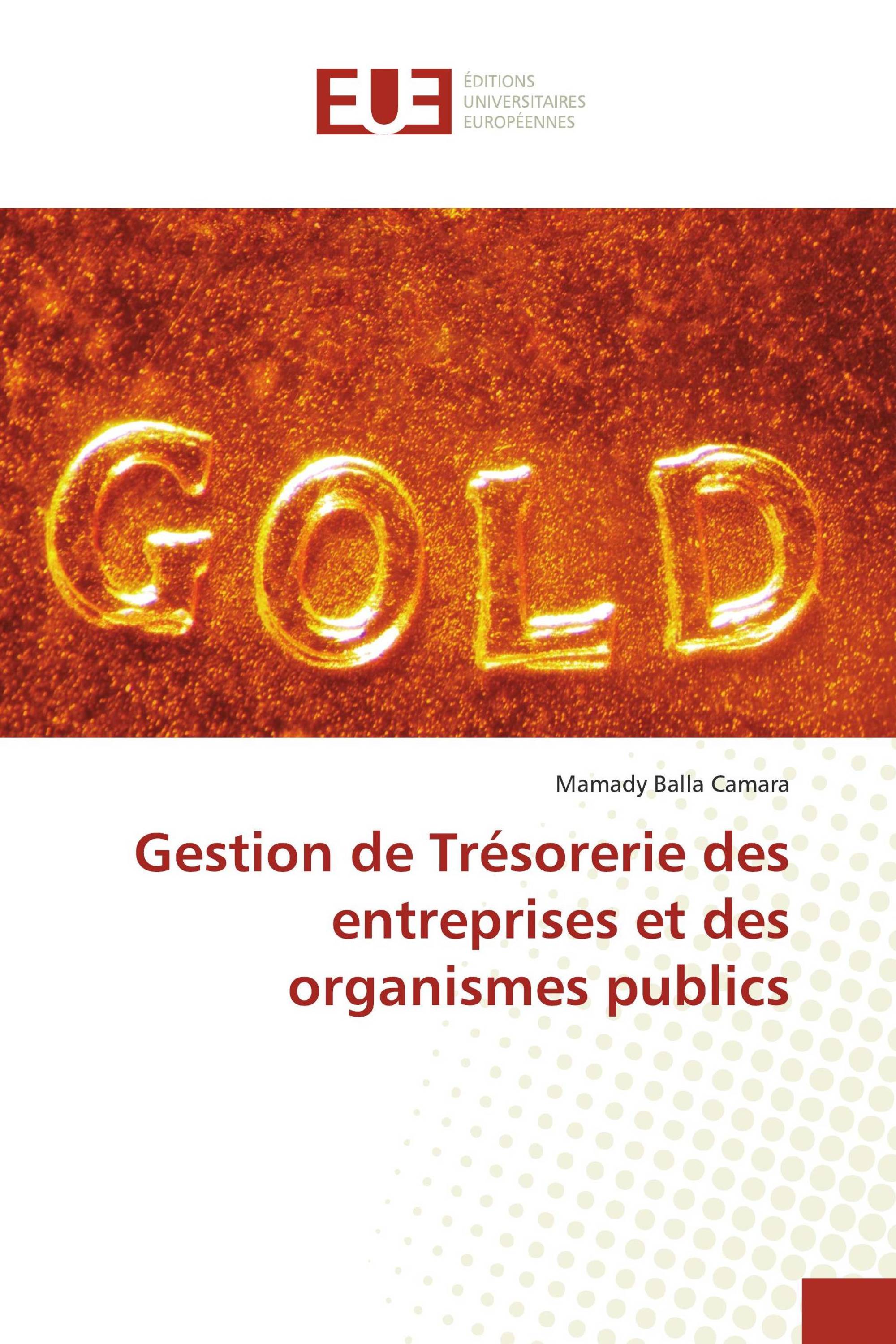 Gestion de Trésorerie des entreprises et des organismes publics