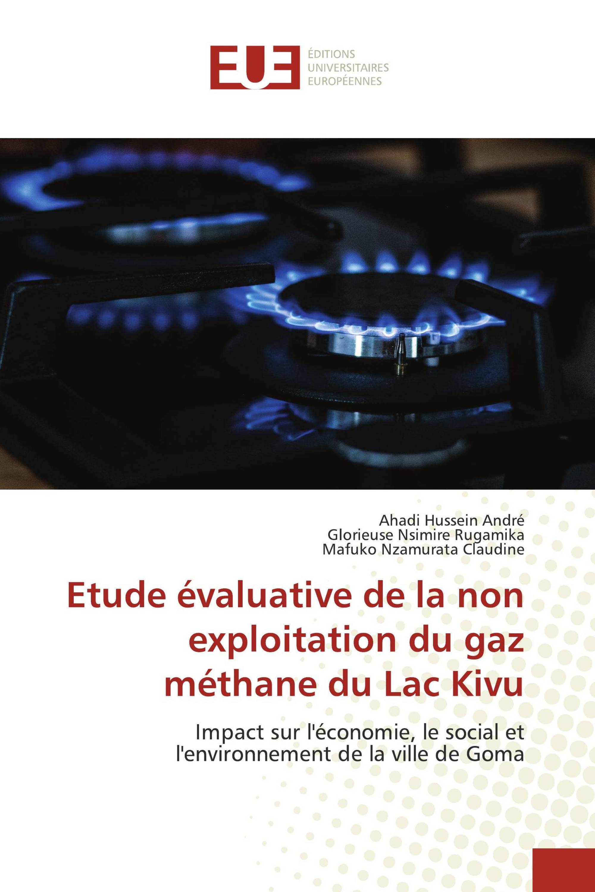 Etude évaluative de la non exploitation du gaz méthane du Lac Kivu