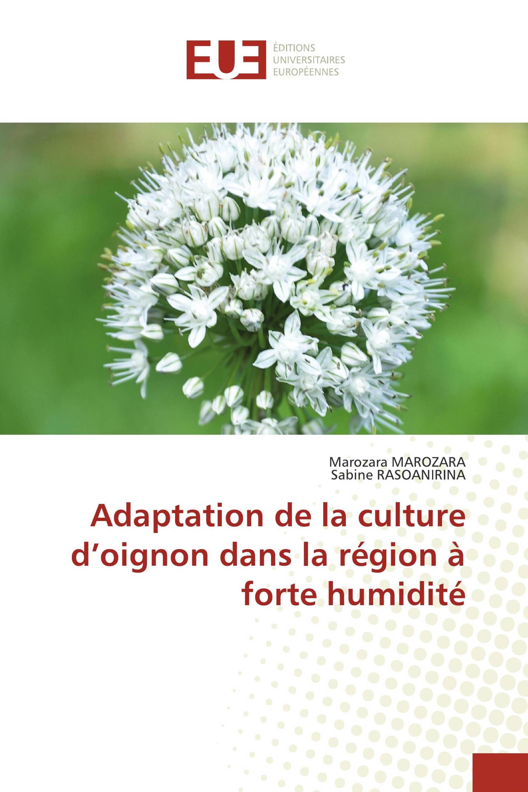 Adaptation de la culture d’oignon dans la région à forte humidité