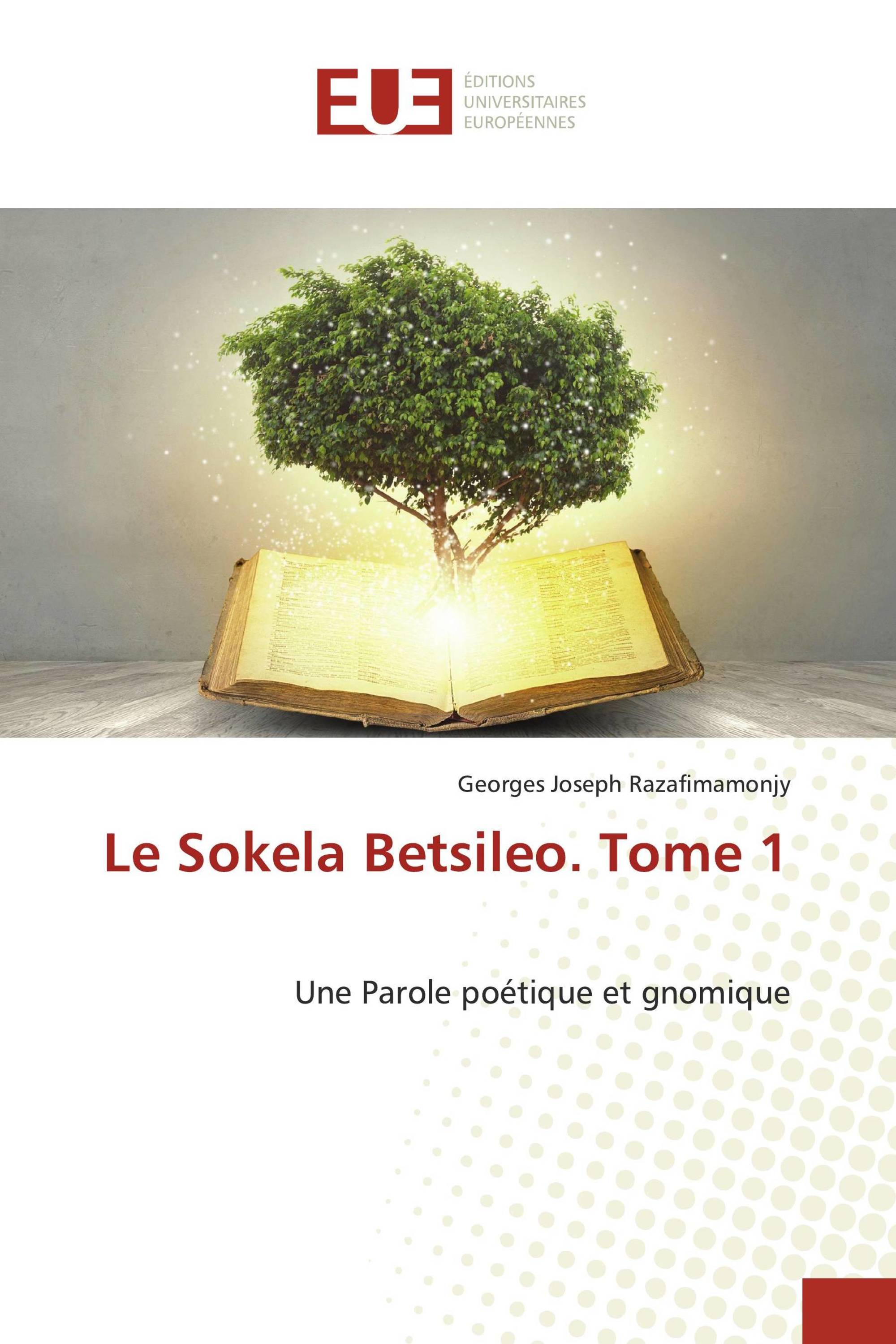 Le Sokela Betsileo. Tome 1