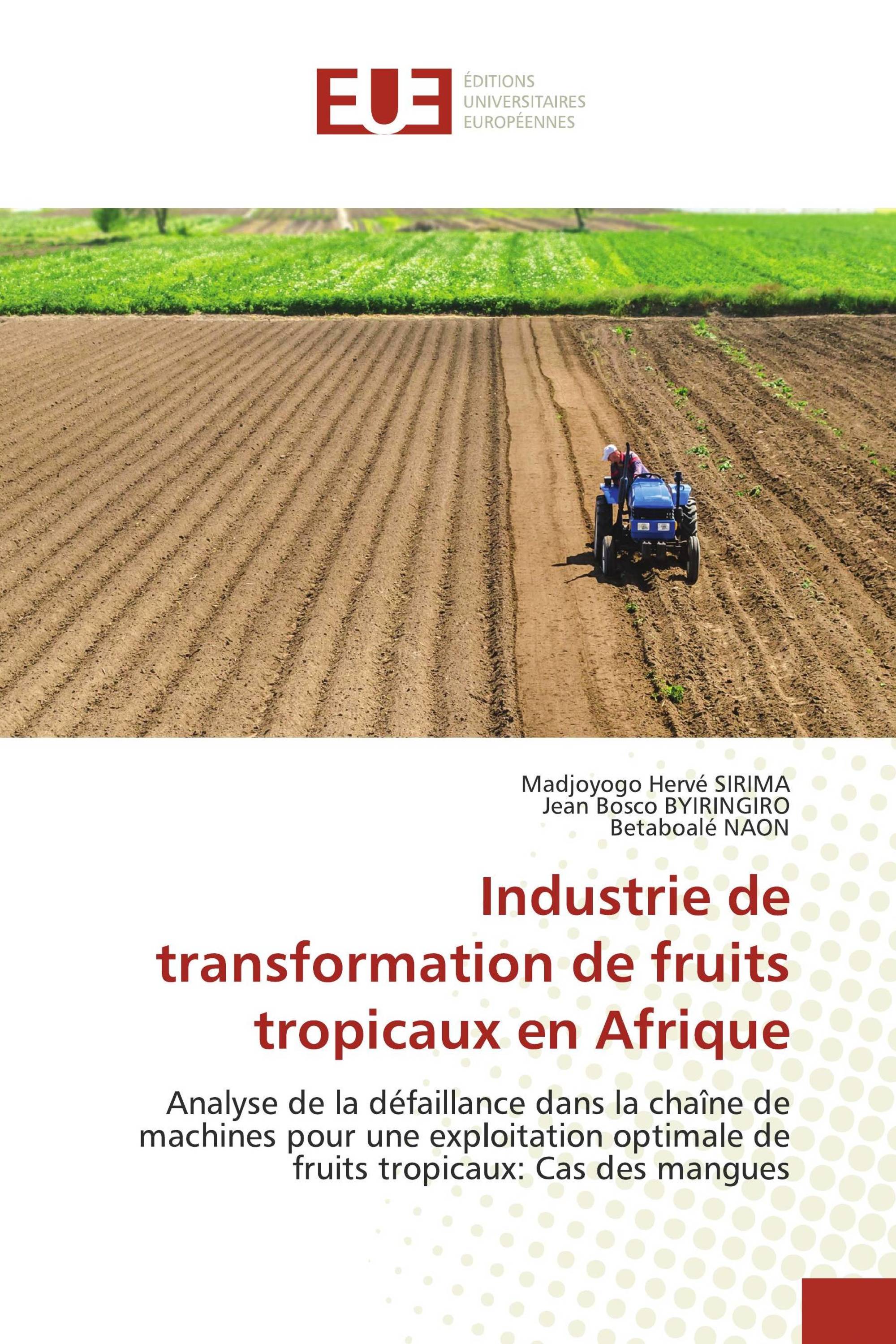 Industrie de transformation de fruits tropicaux en Afrique