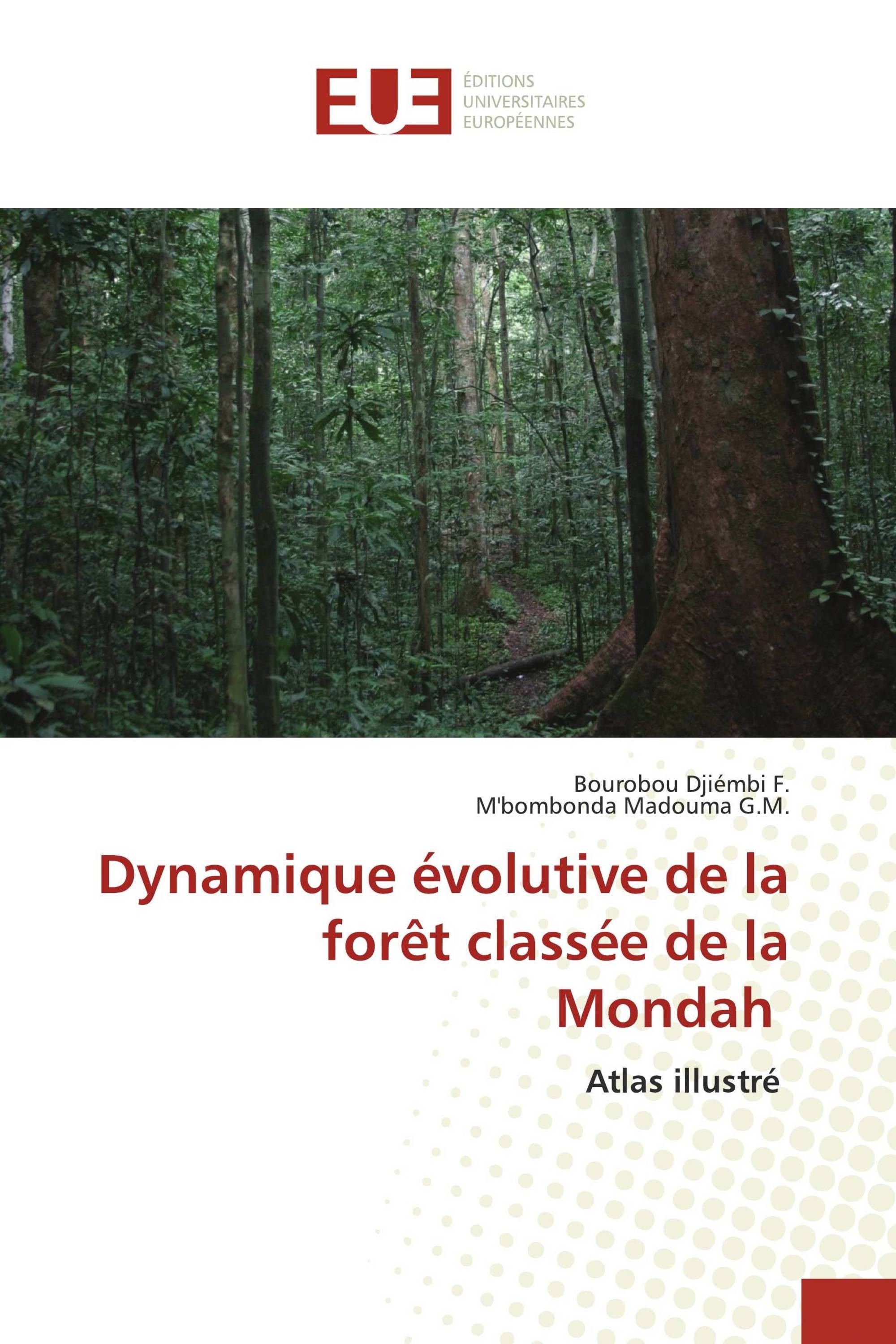 Dynamique évolutive de la forêt classée de la Mondah