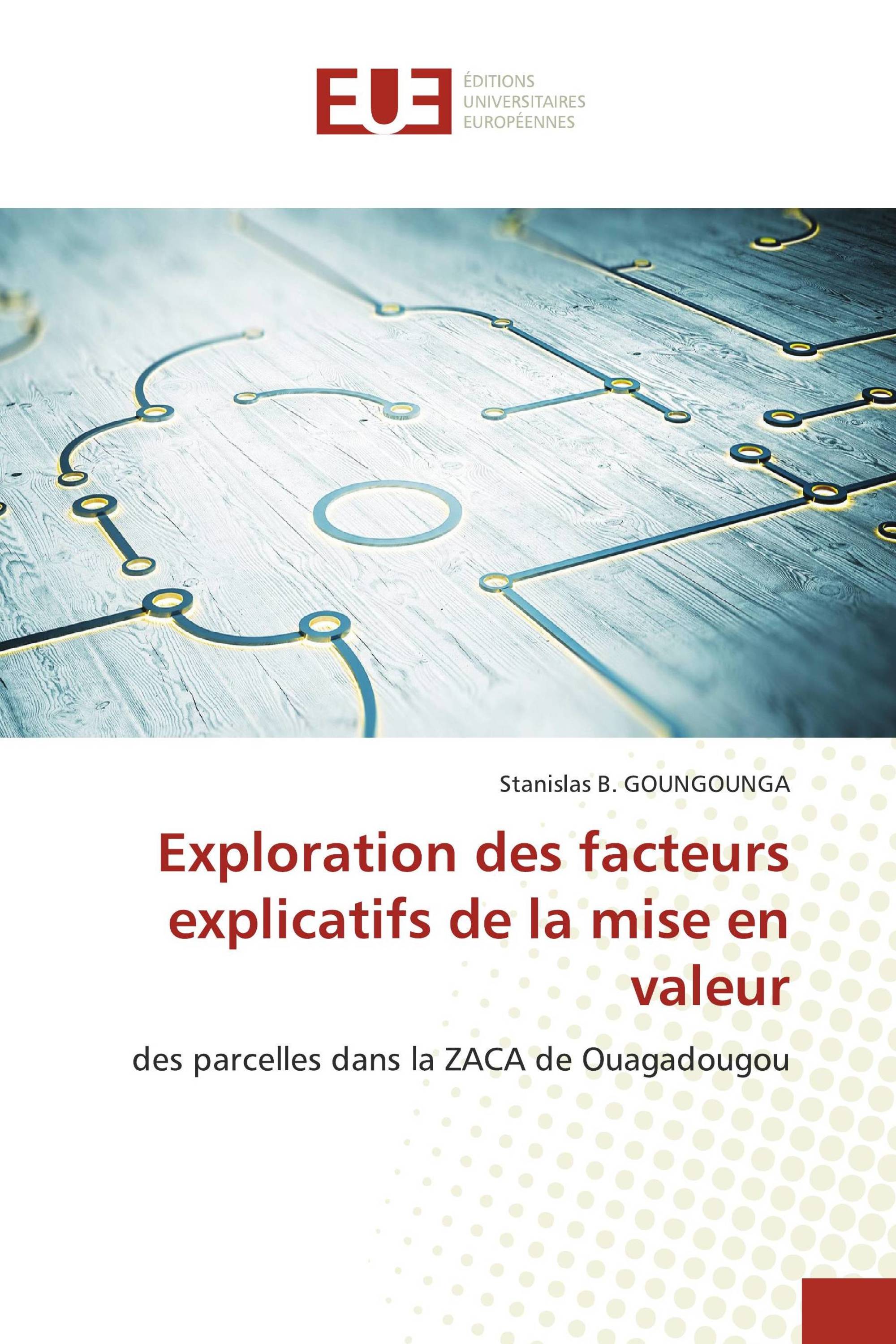 Exploration des facteurs explicatifs de la mise en valeur