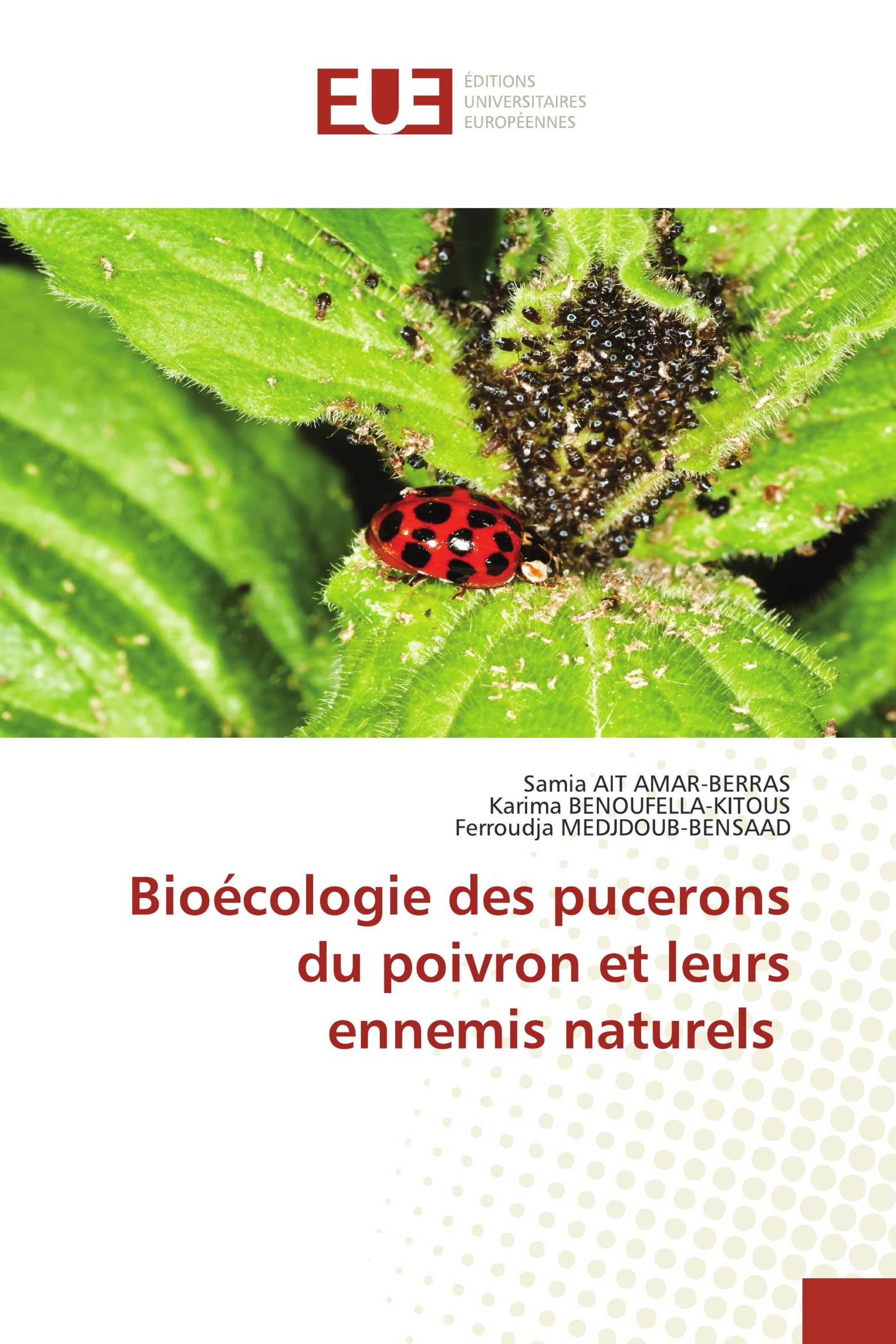 Bioécologie des pucerons du poivron et leurs ennemis naturels