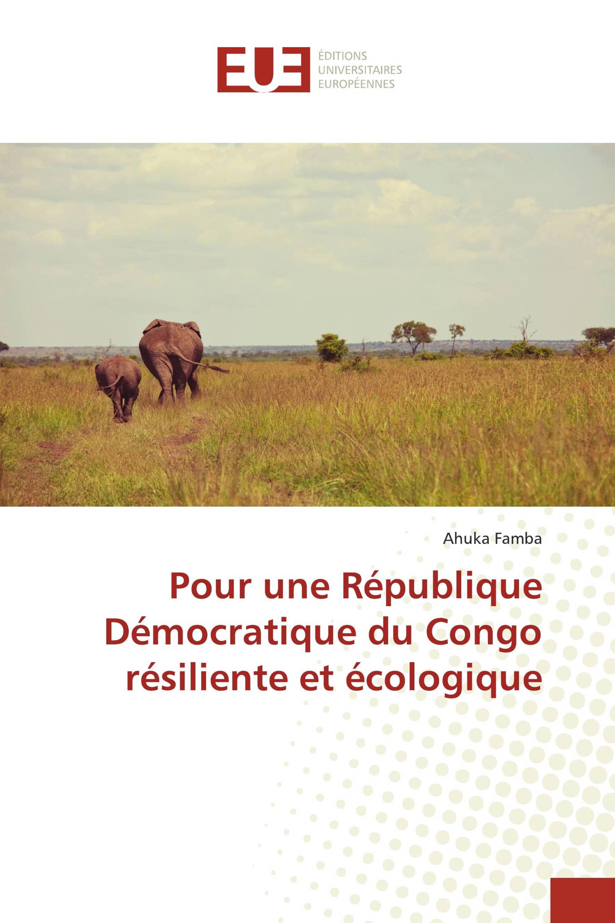 Pour une République Démocratique du Congo résiliente et écologique