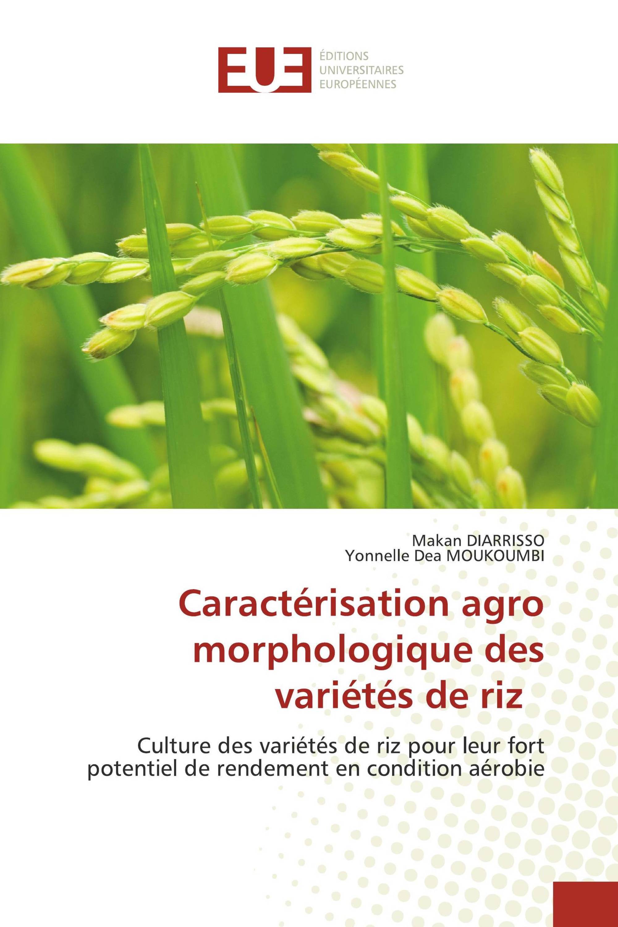 Caractérisation agro morphologique des variétés de riz