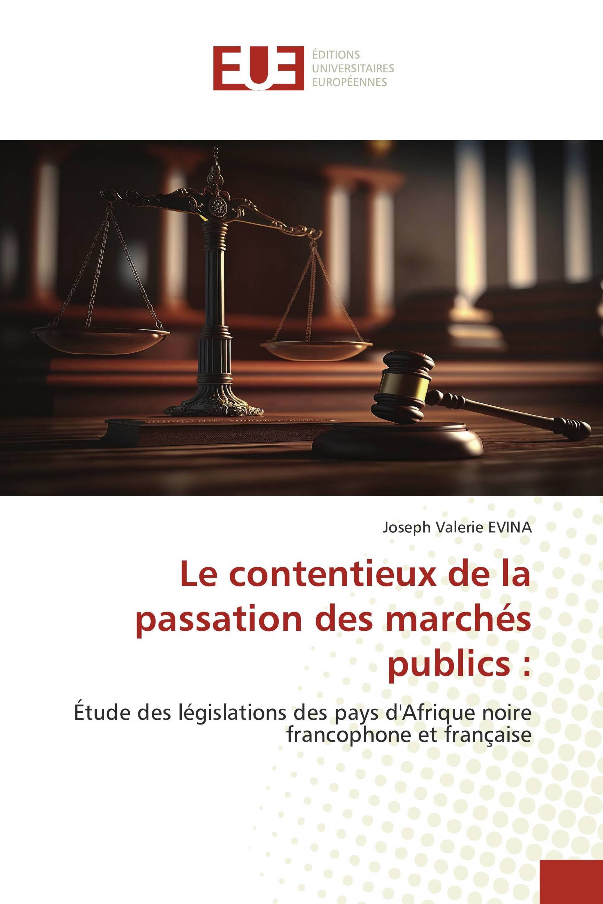 Le contentieux de la passation des marchés publics :