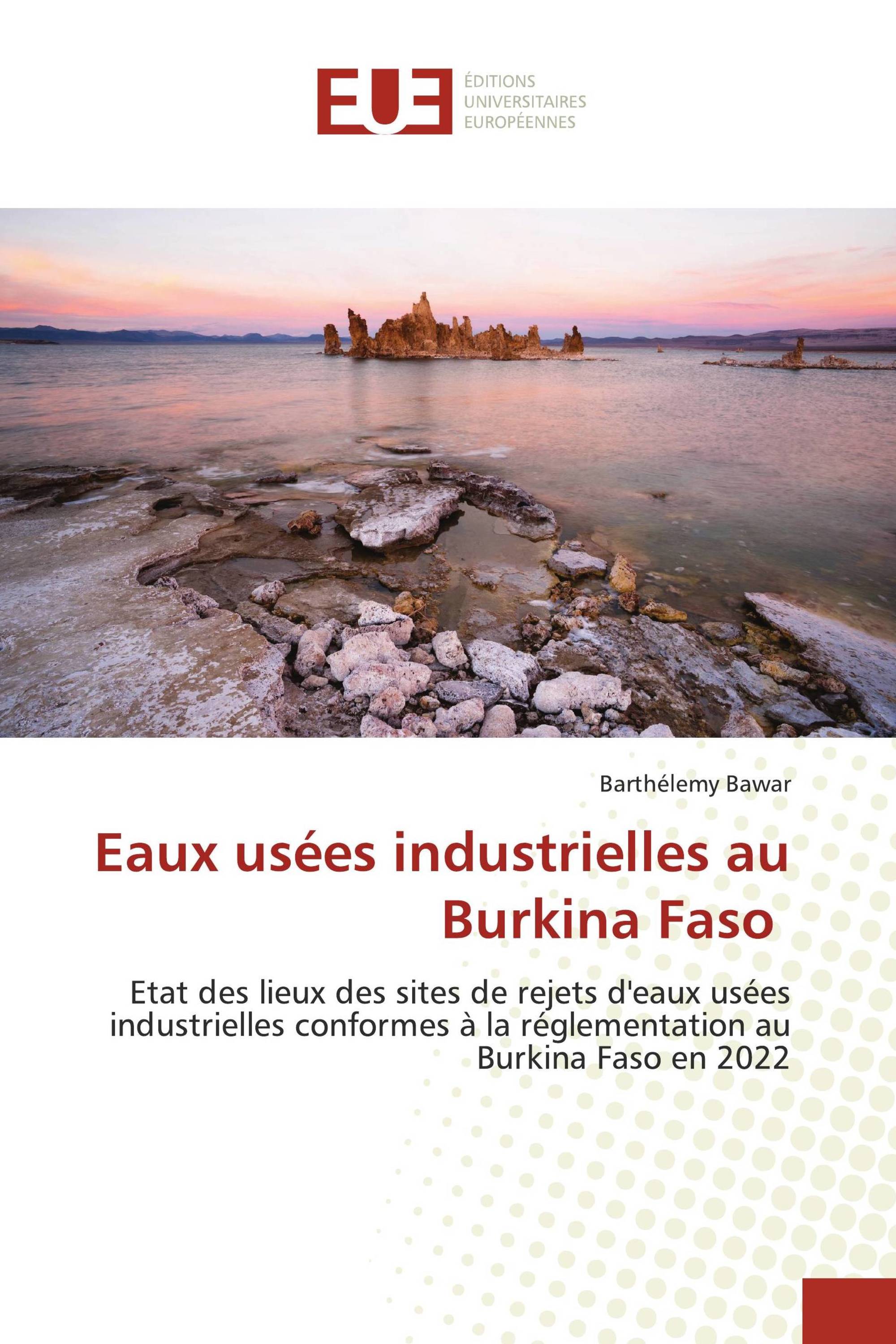 Eaux usées industrielles au Burkina Faso