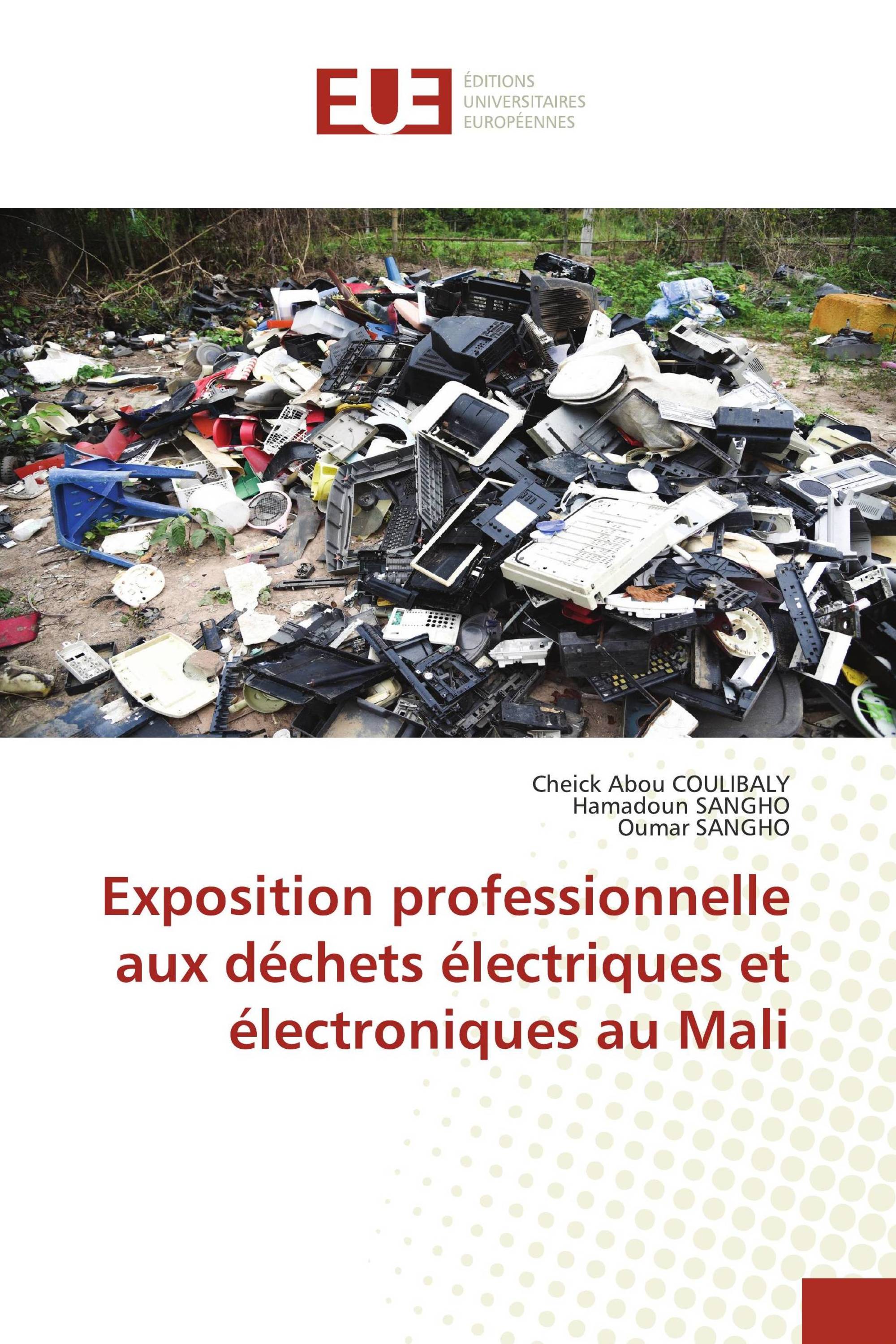 Exposition professionnelle aux déchets électriques et électroniques au Mali