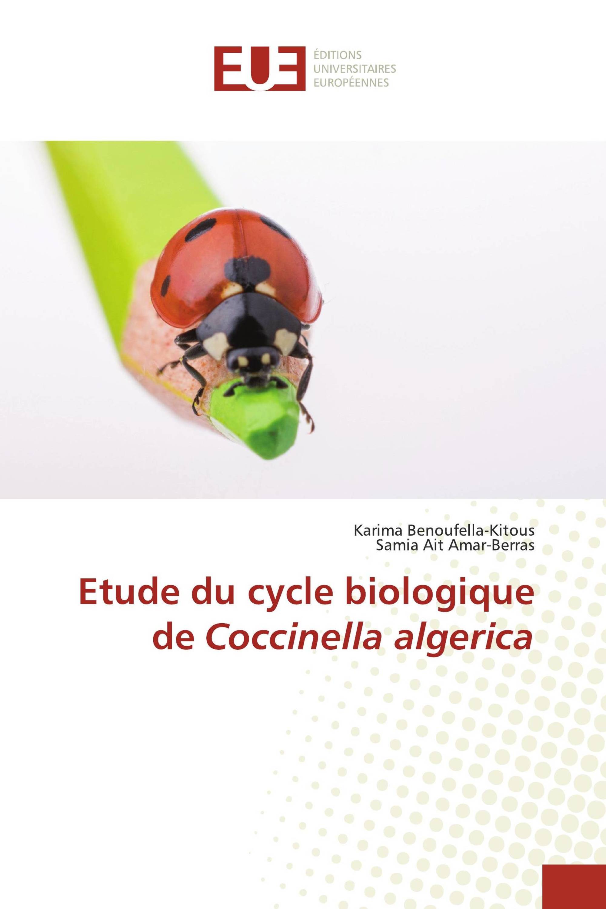 Etude du cycle biologique de Coccinella algerica