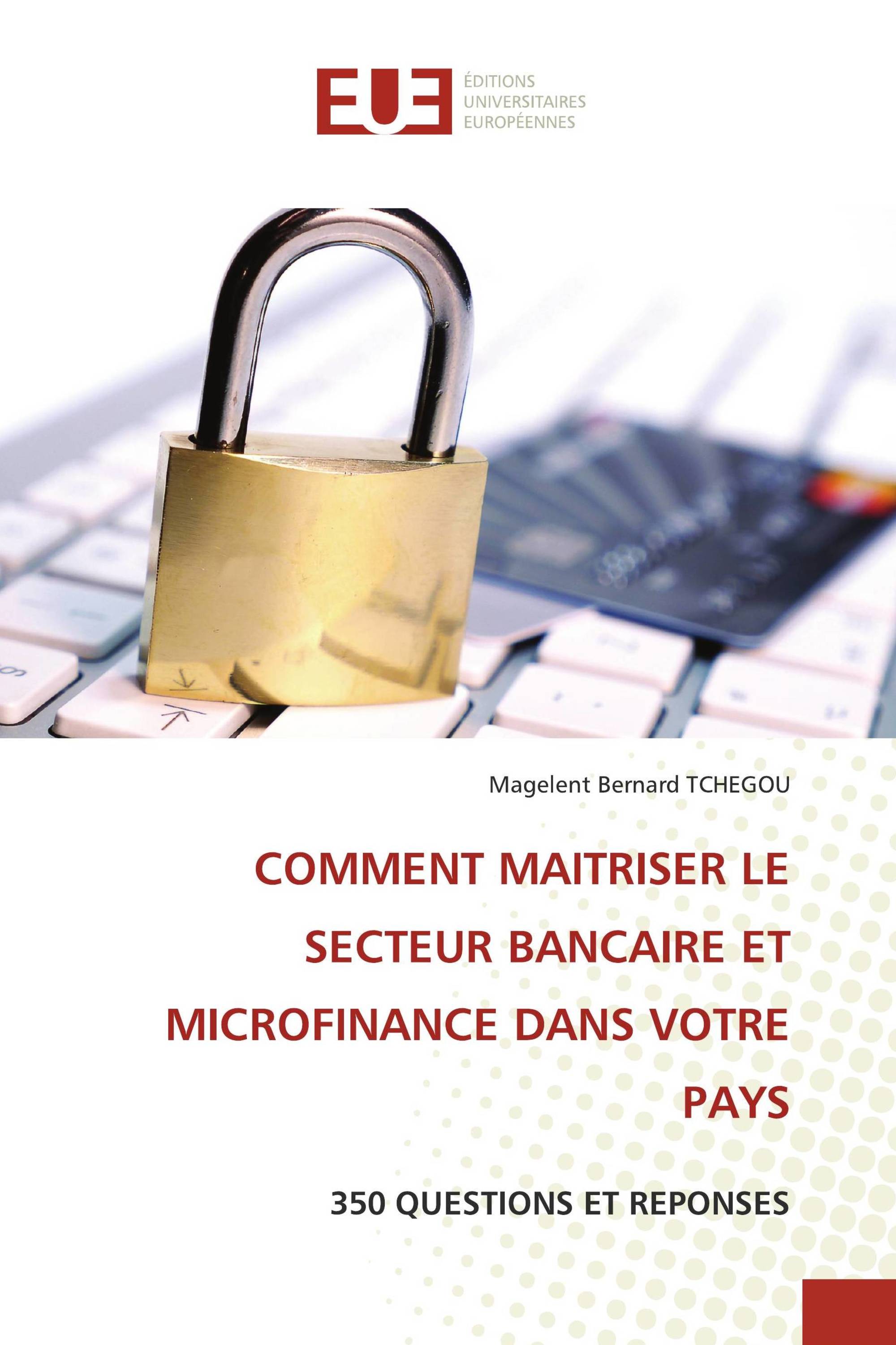 COMMENT MAITRISER LE SECTEUR BANCAIRE ET MICROFINANCE DANS VOTRE PAYS