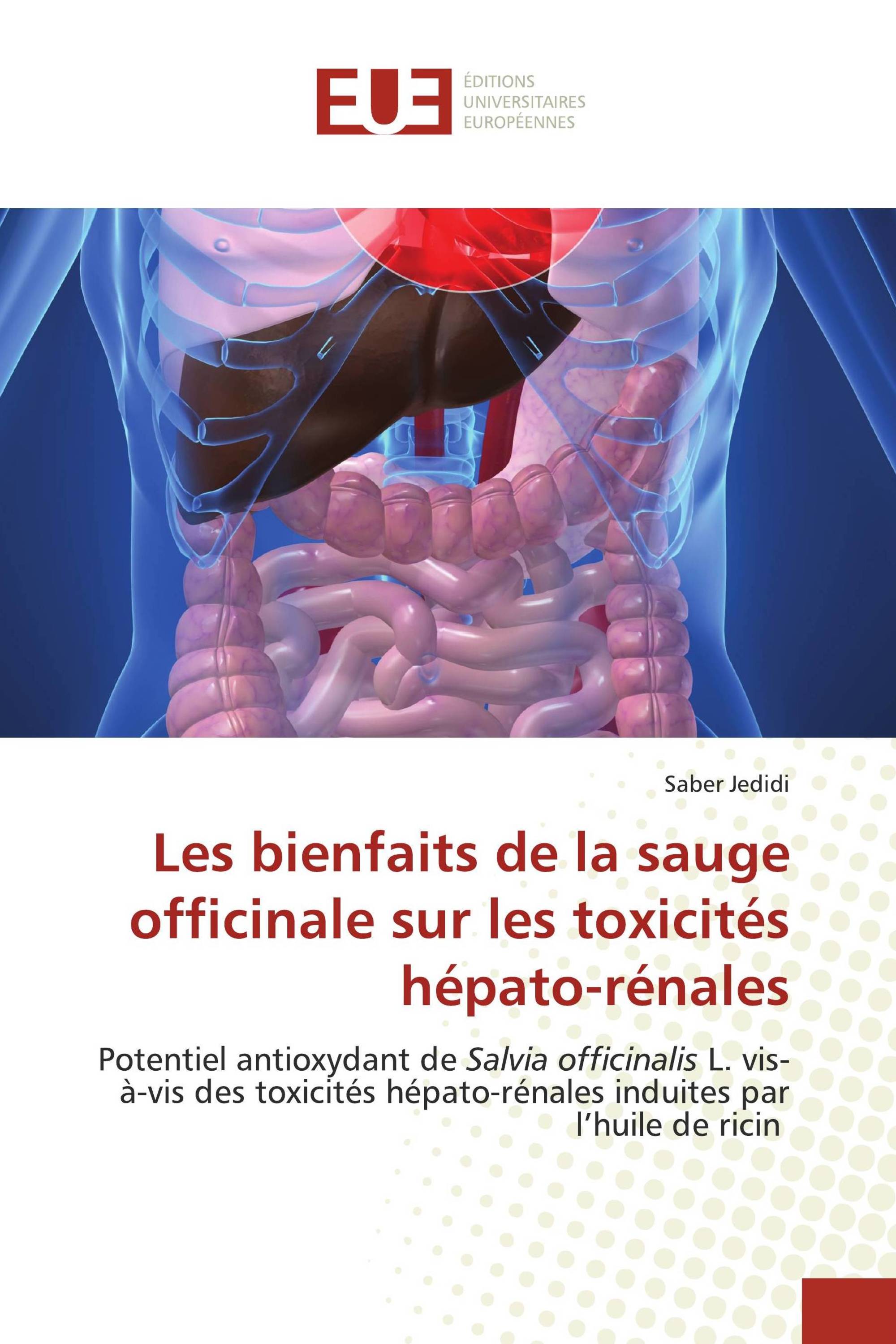 Les bienfaits de la sauge officinale sur les toxicités hépato-rénales