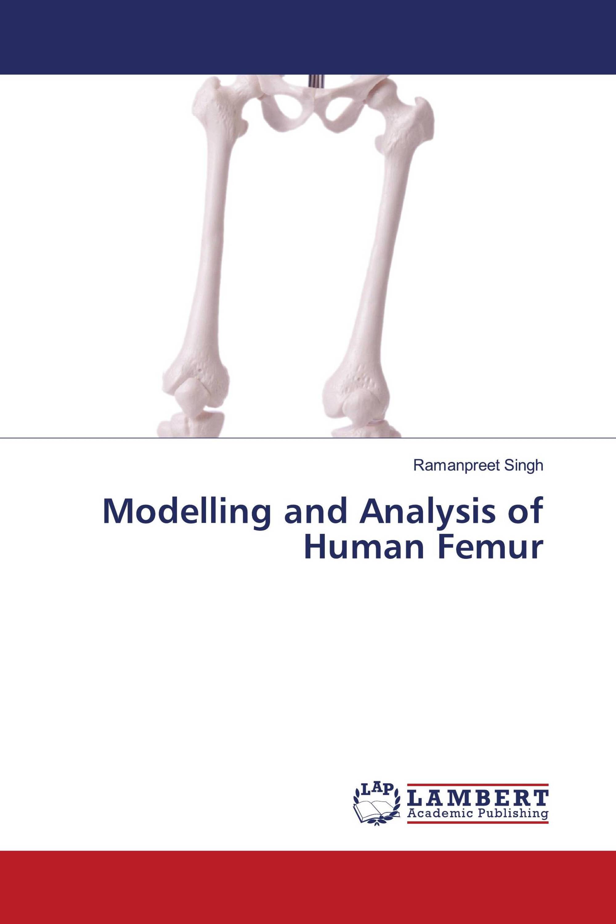 Modelling and Analysis of Human Femur