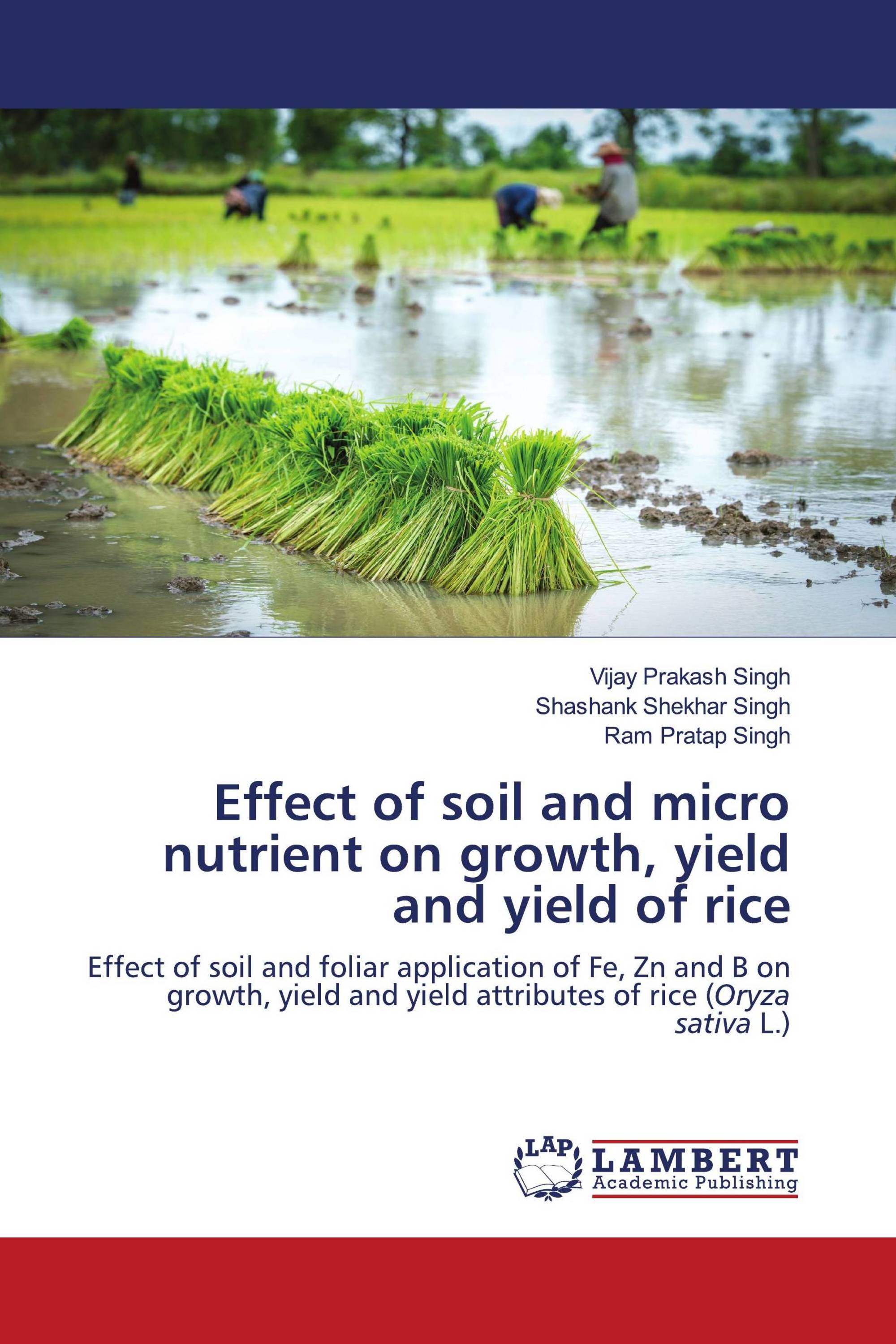 Effect of soil and micro nutrient on growth, yield and yield of rice