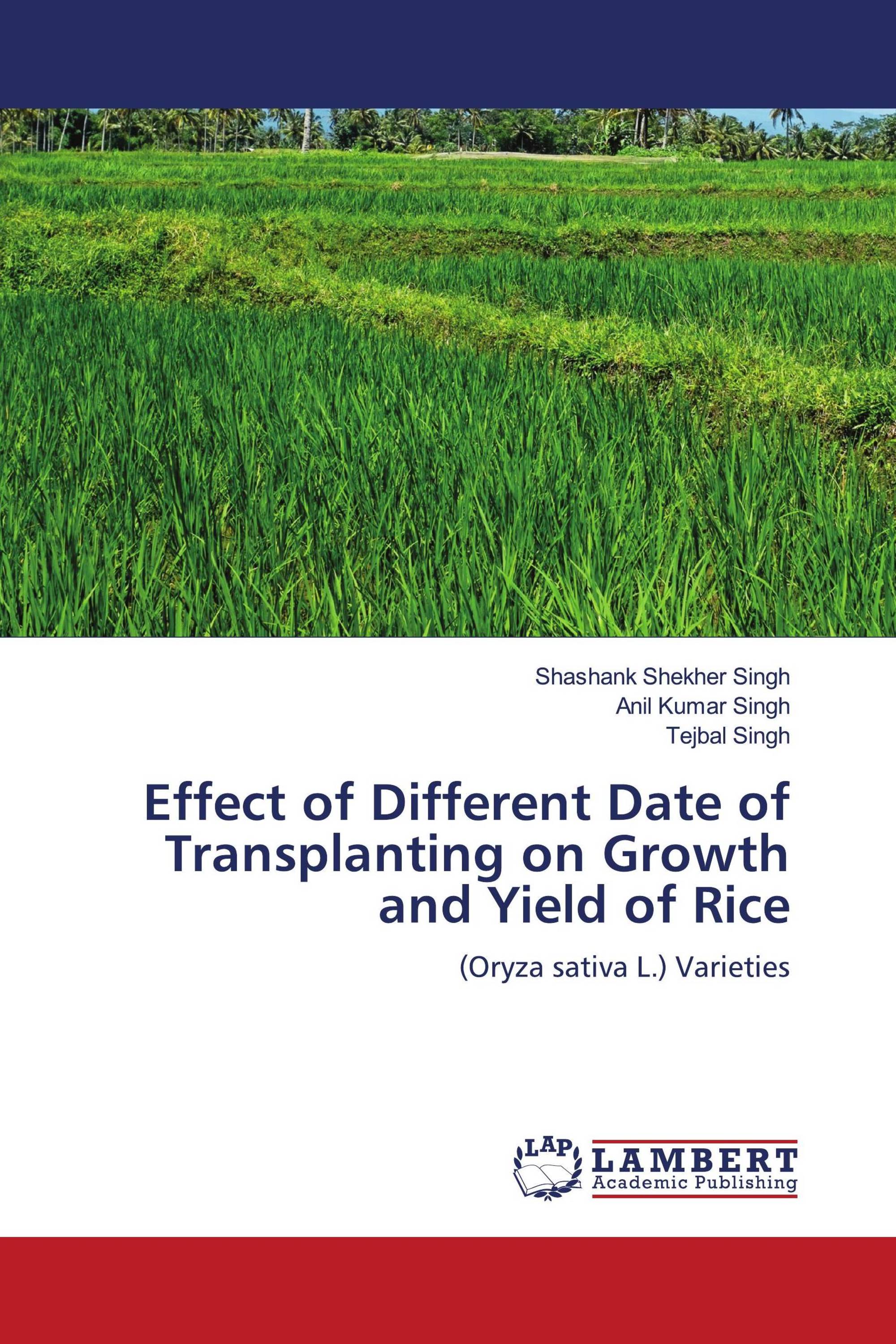 Effect of Different Date of Transplanting on Growth and Yield of Rice